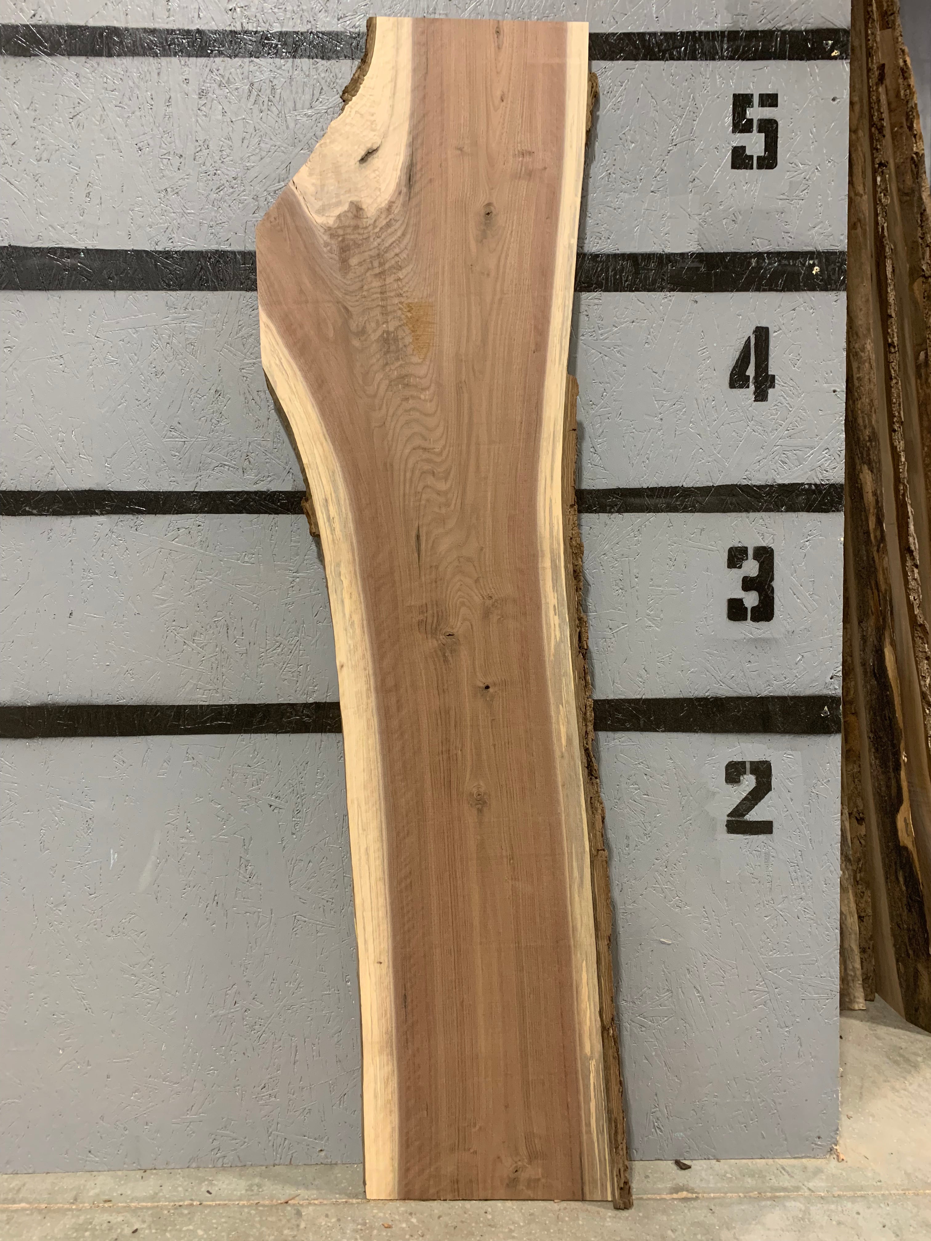 Black Walnut Slab | W518