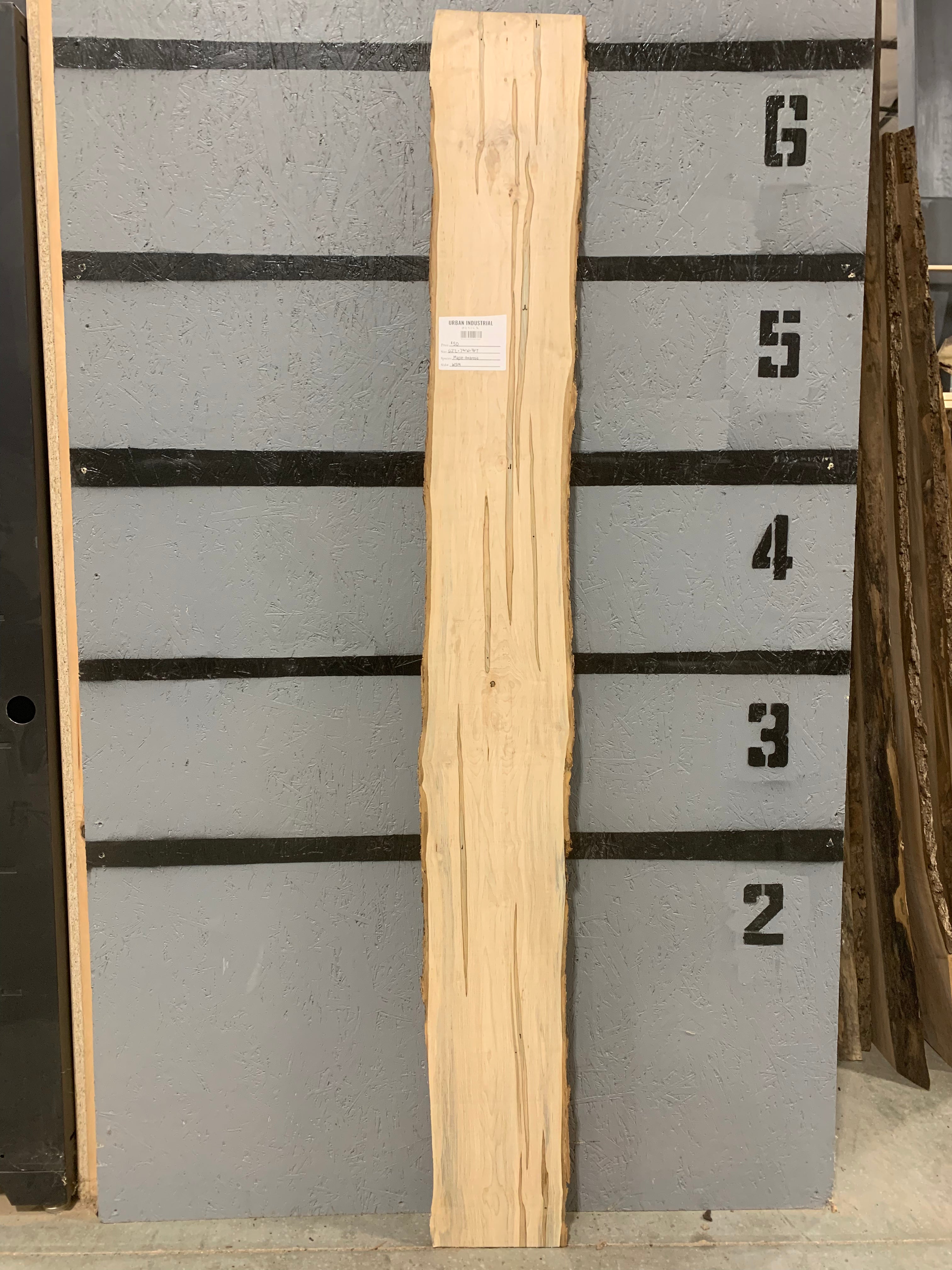 Maple Slab - Ambrosia | W519