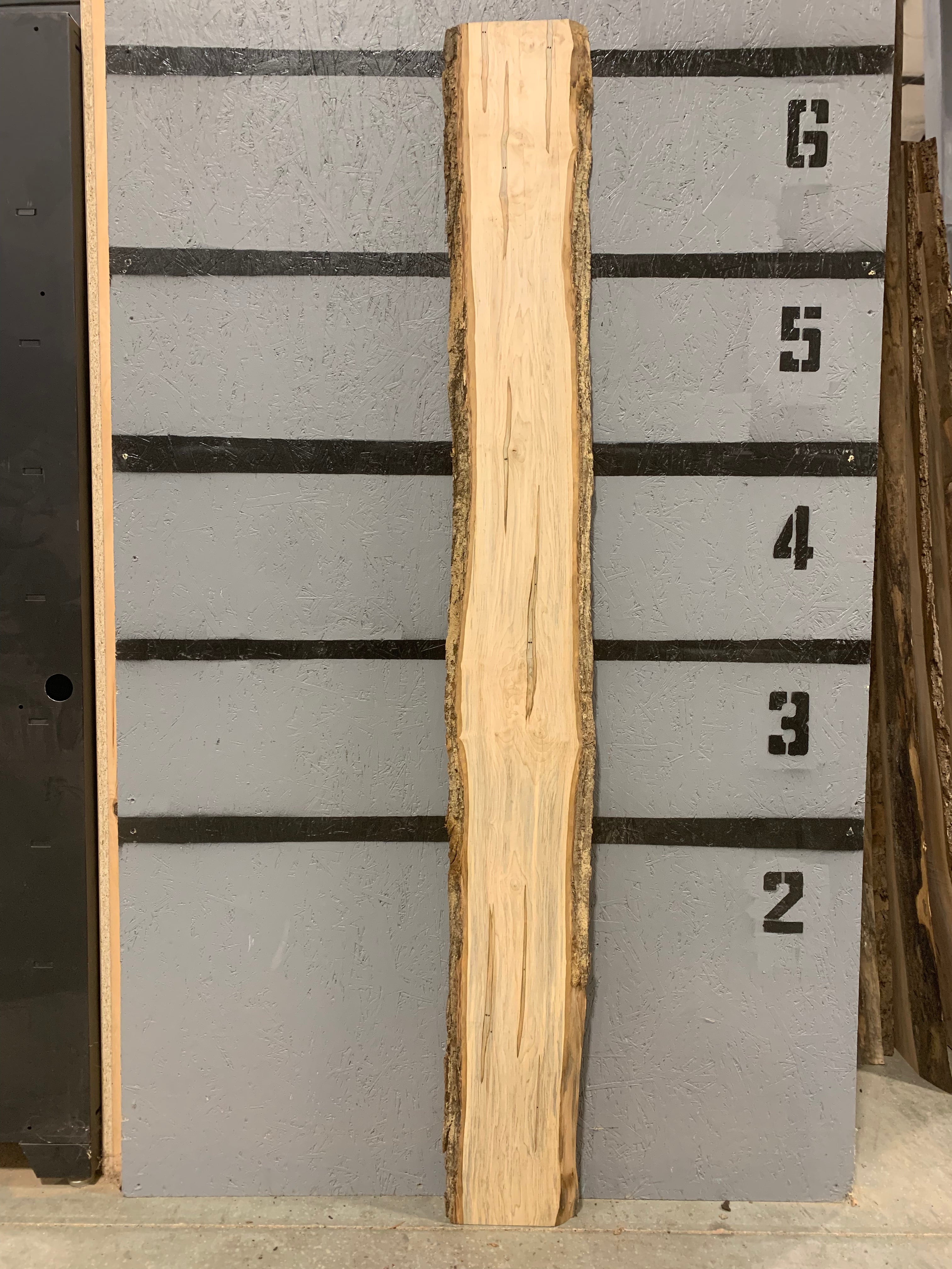 Maple Slab - Ambrosia | W519