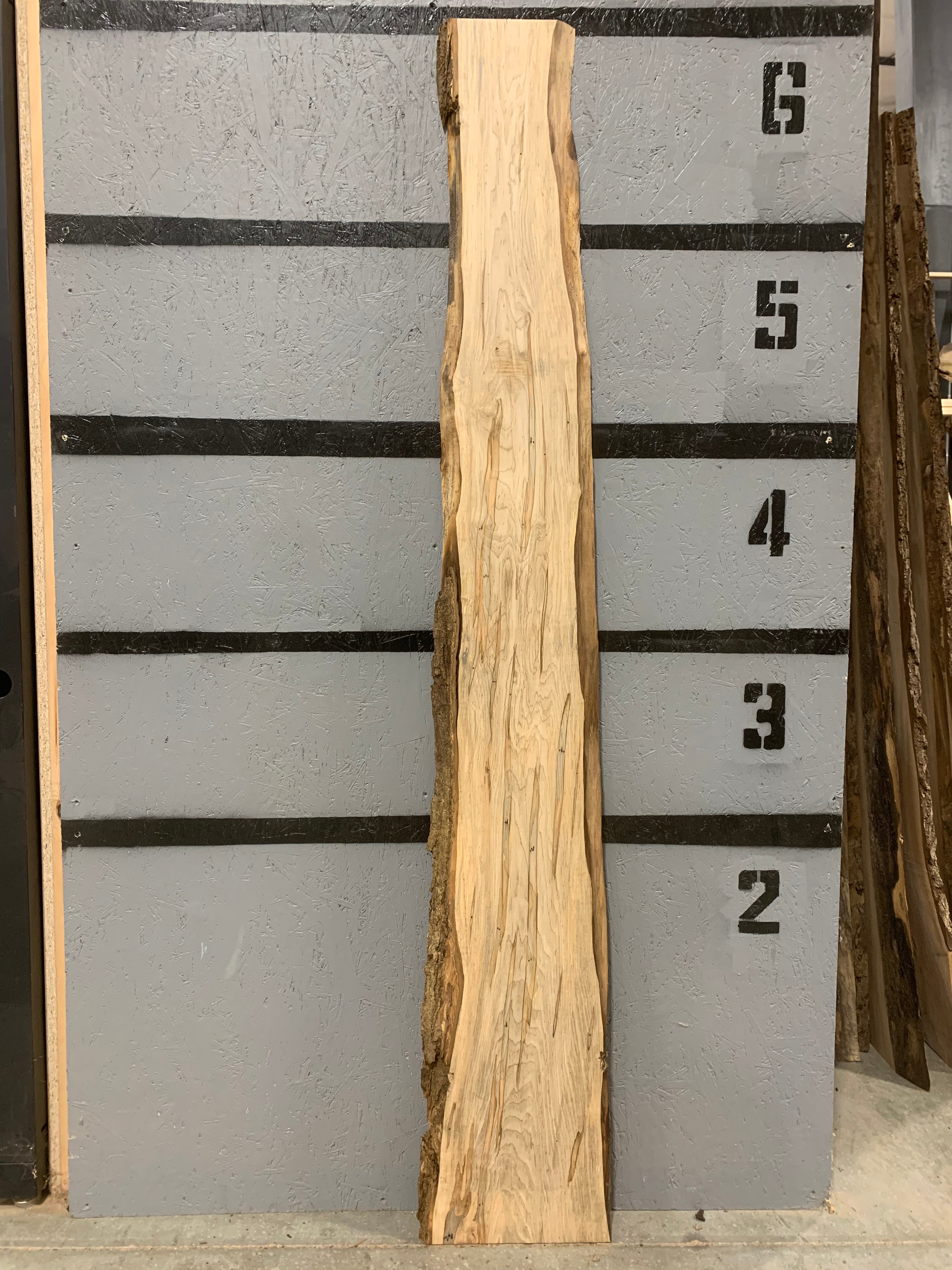 Maple Slab - Ambrosia | W520