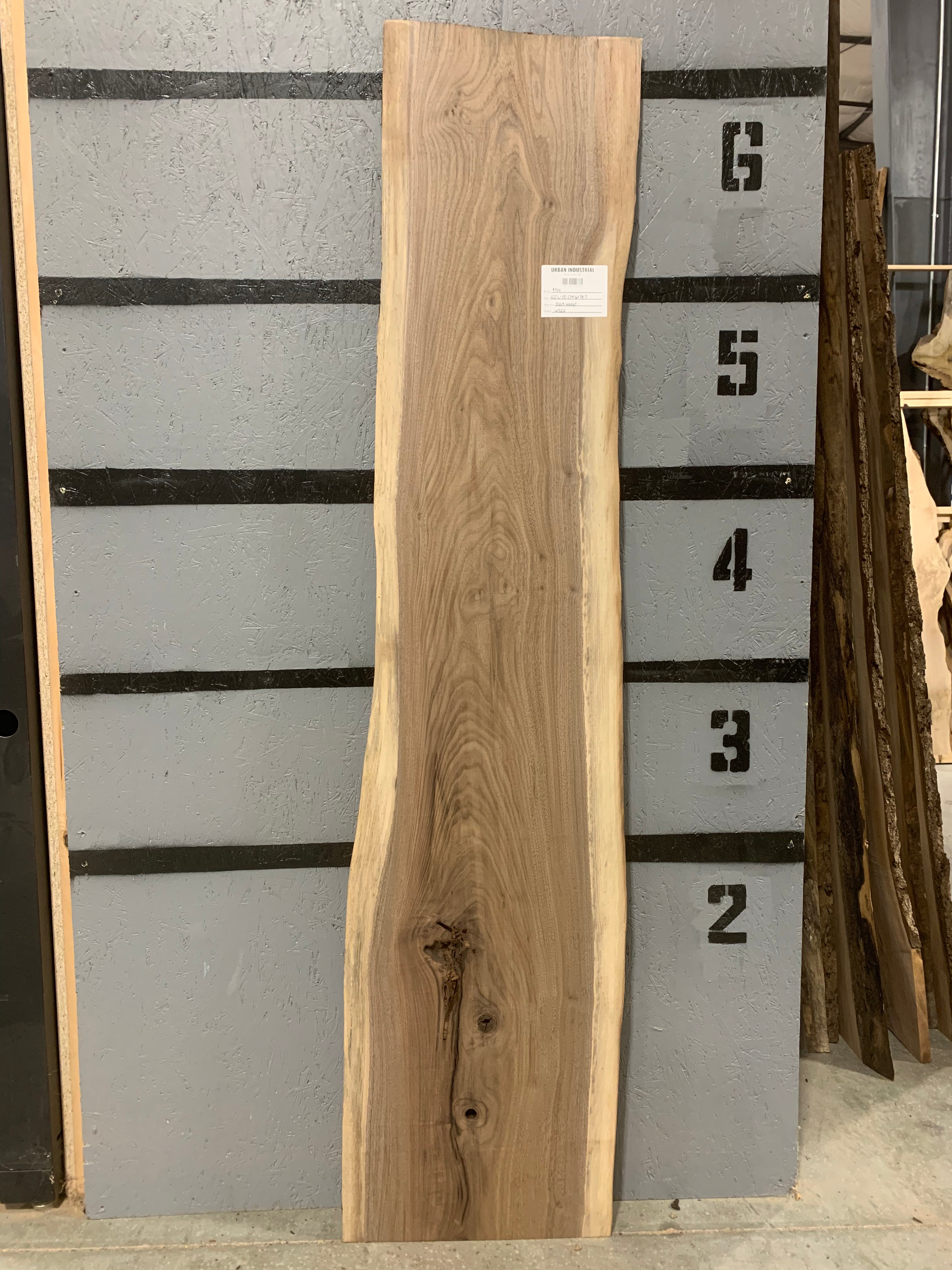 Black Walnut Slab | W522