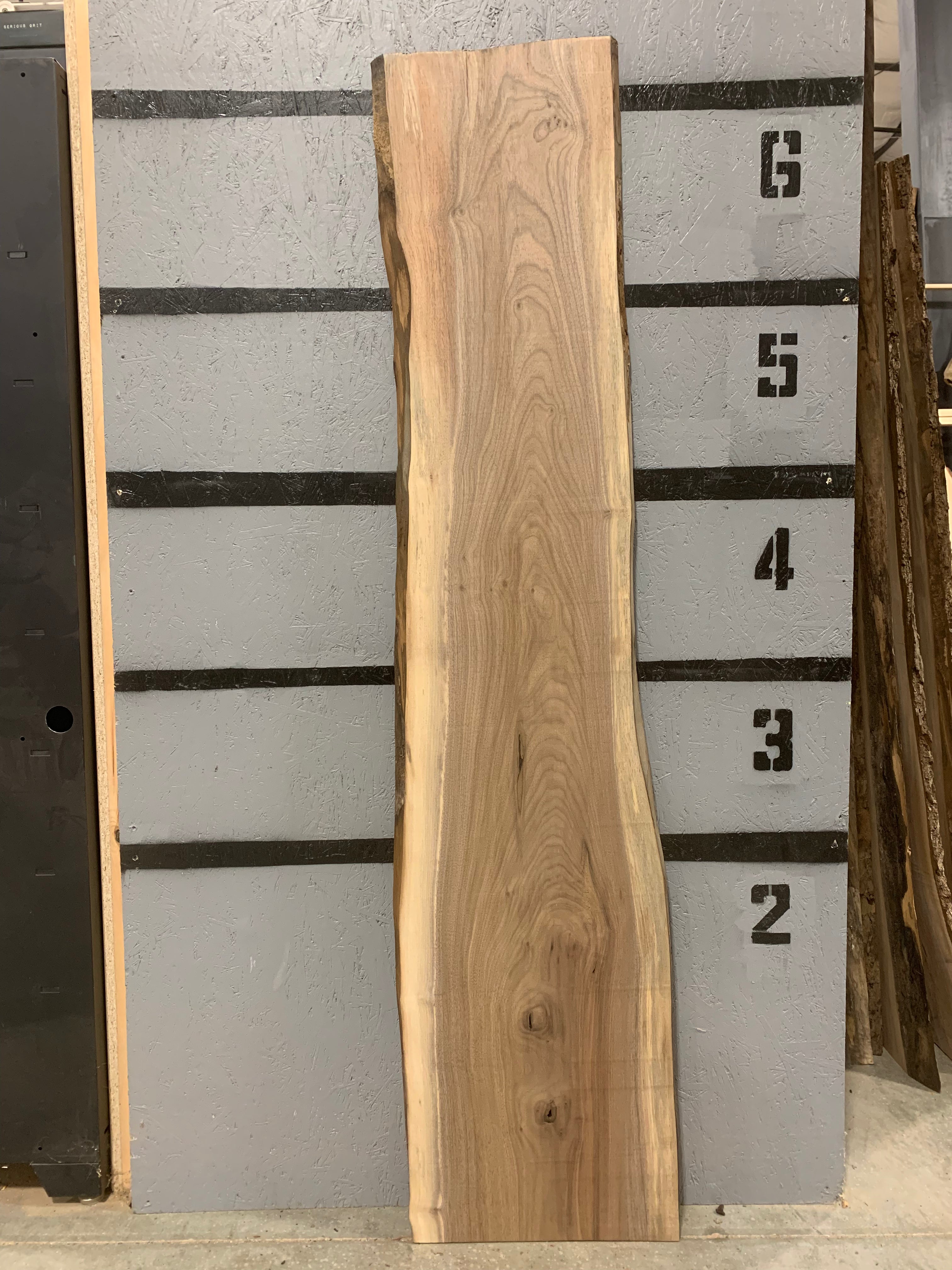 Black Walnut Slab | W522
