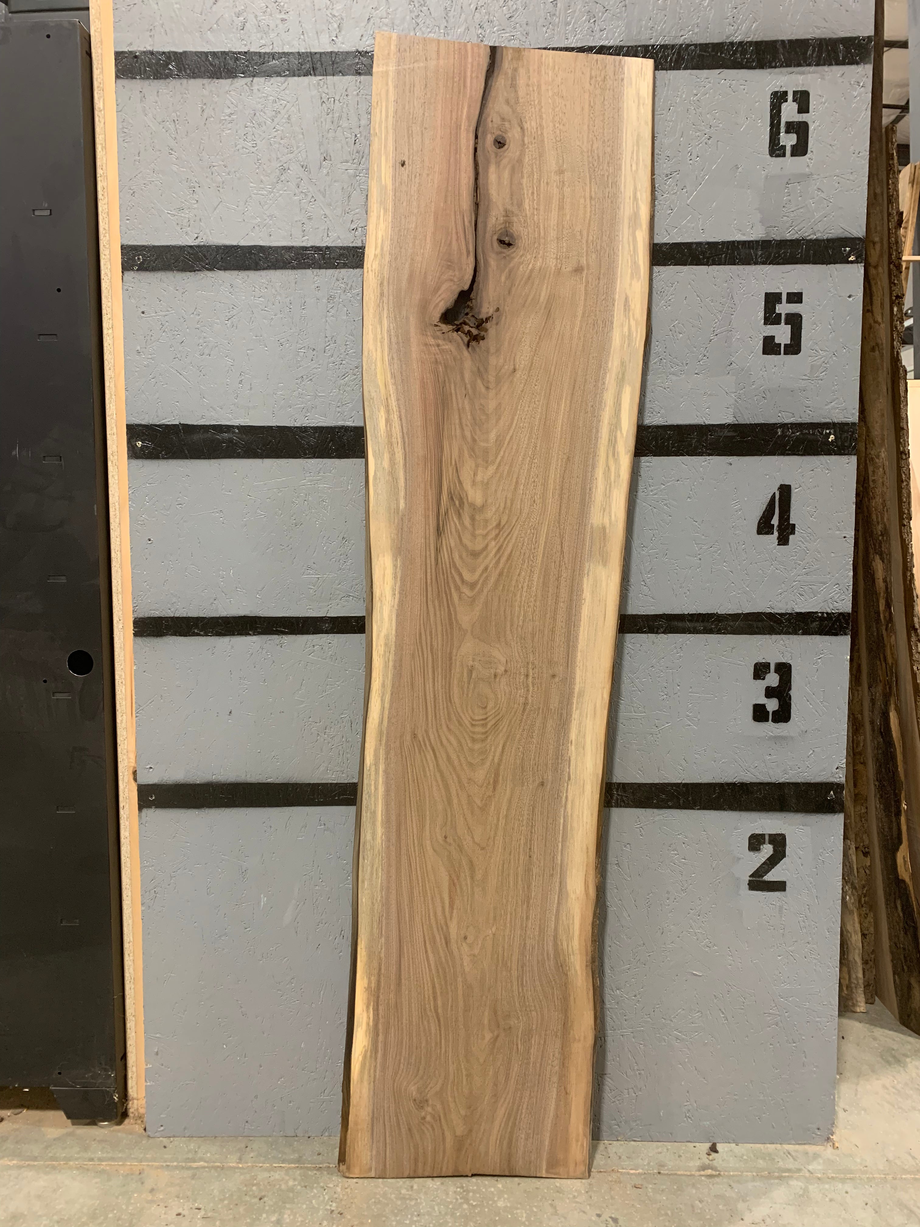 Black Walnut Slab | W524