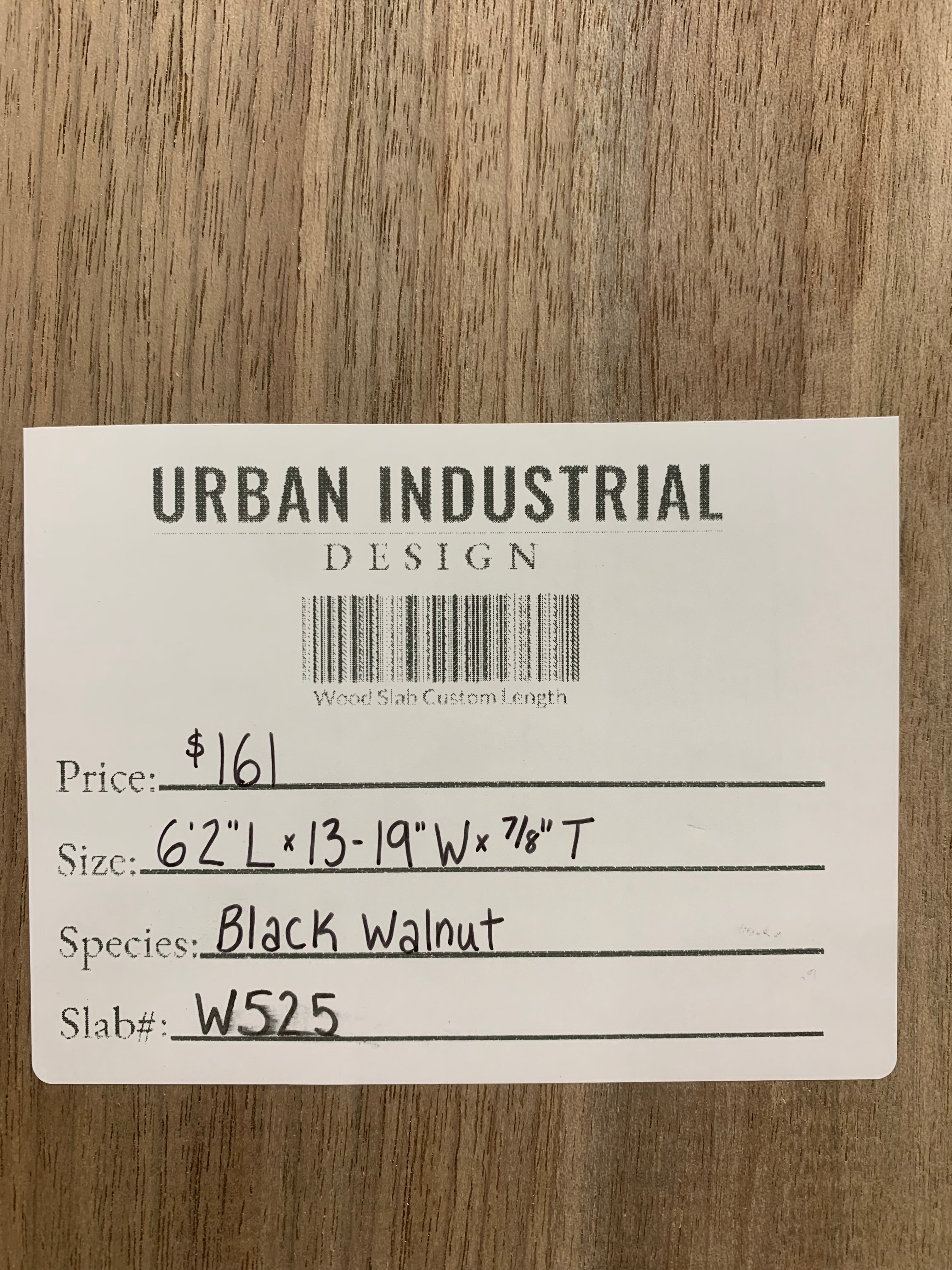 Black Walnut Slab | W525
