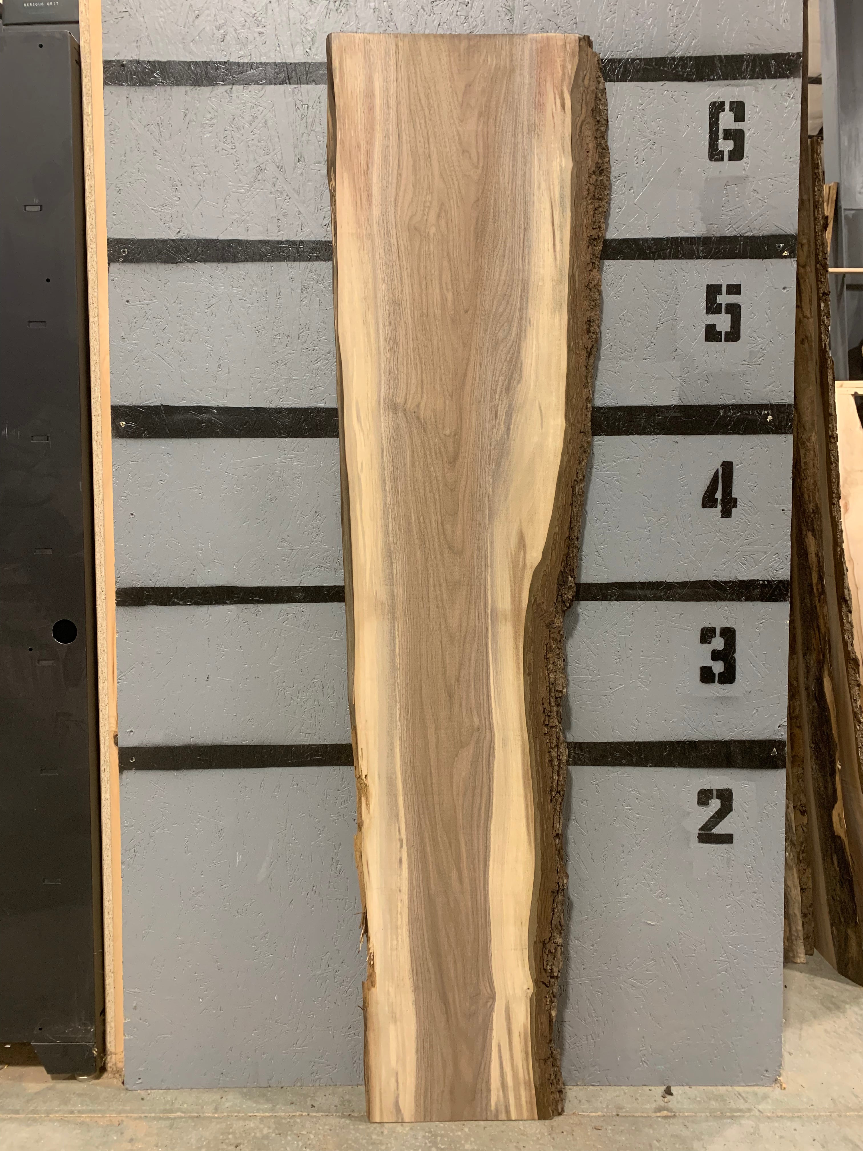Black Walnut Slab | W525
