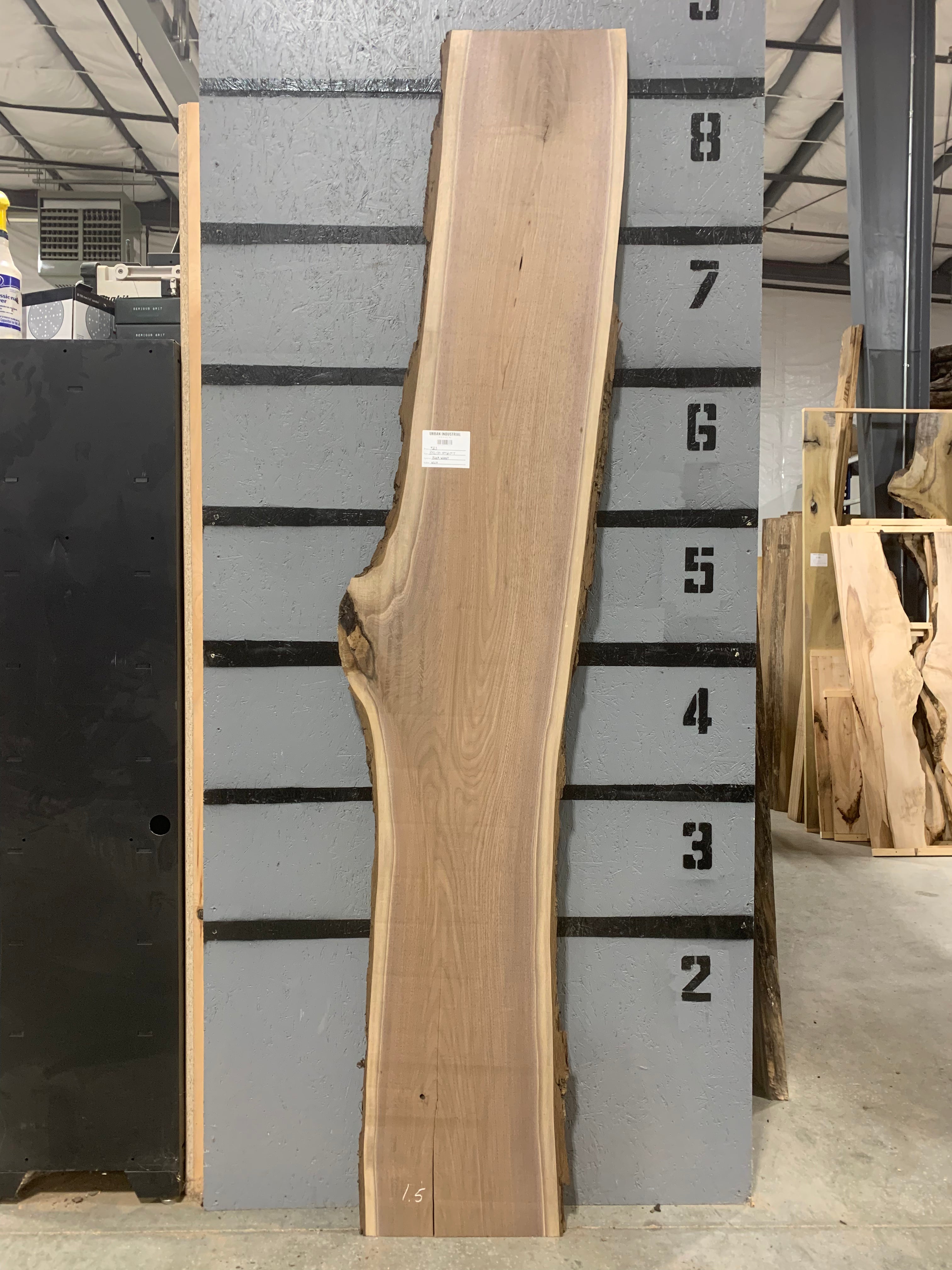 Black Walnut Slab | W528