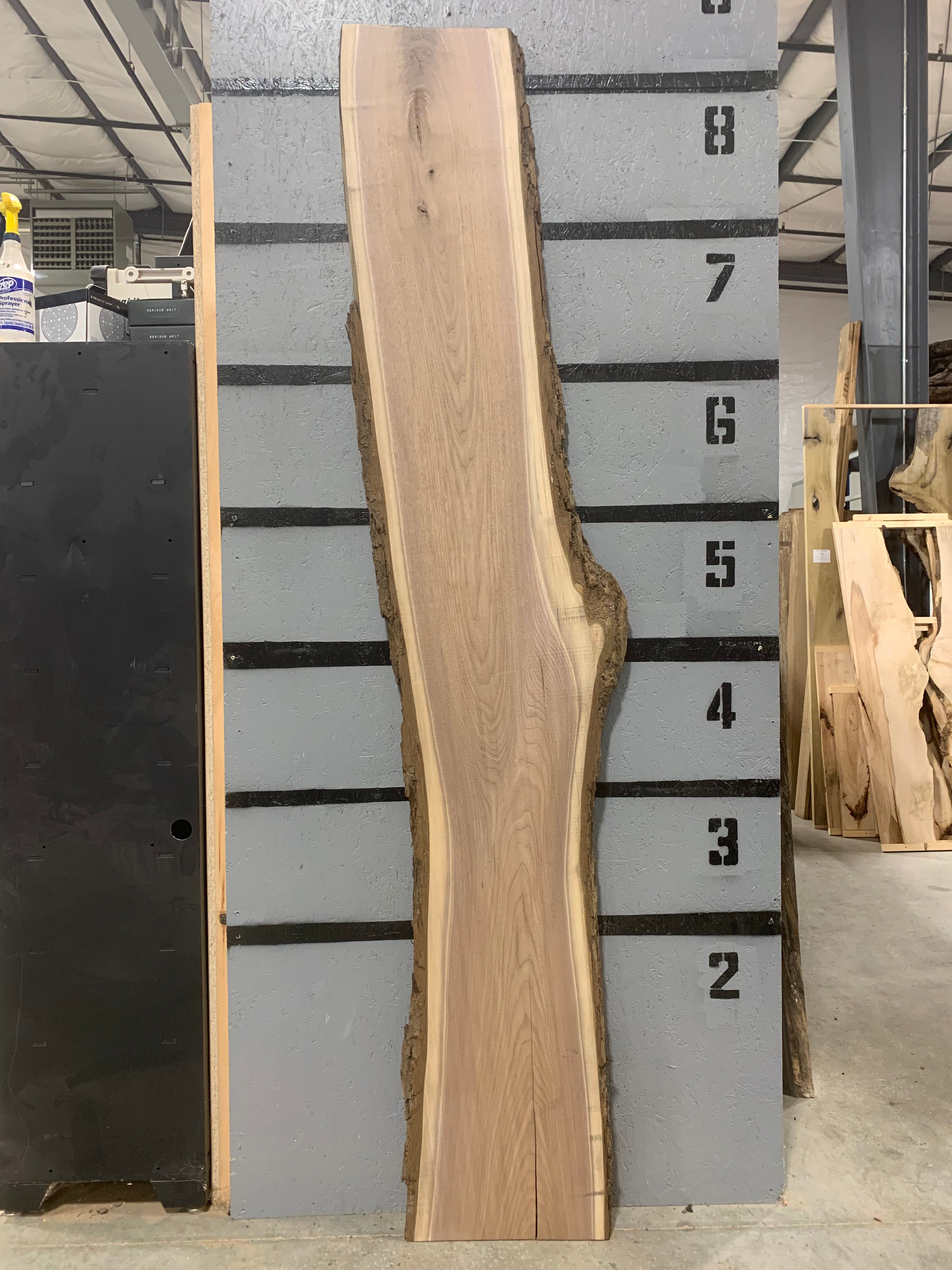 Black Walnut Slab | W528