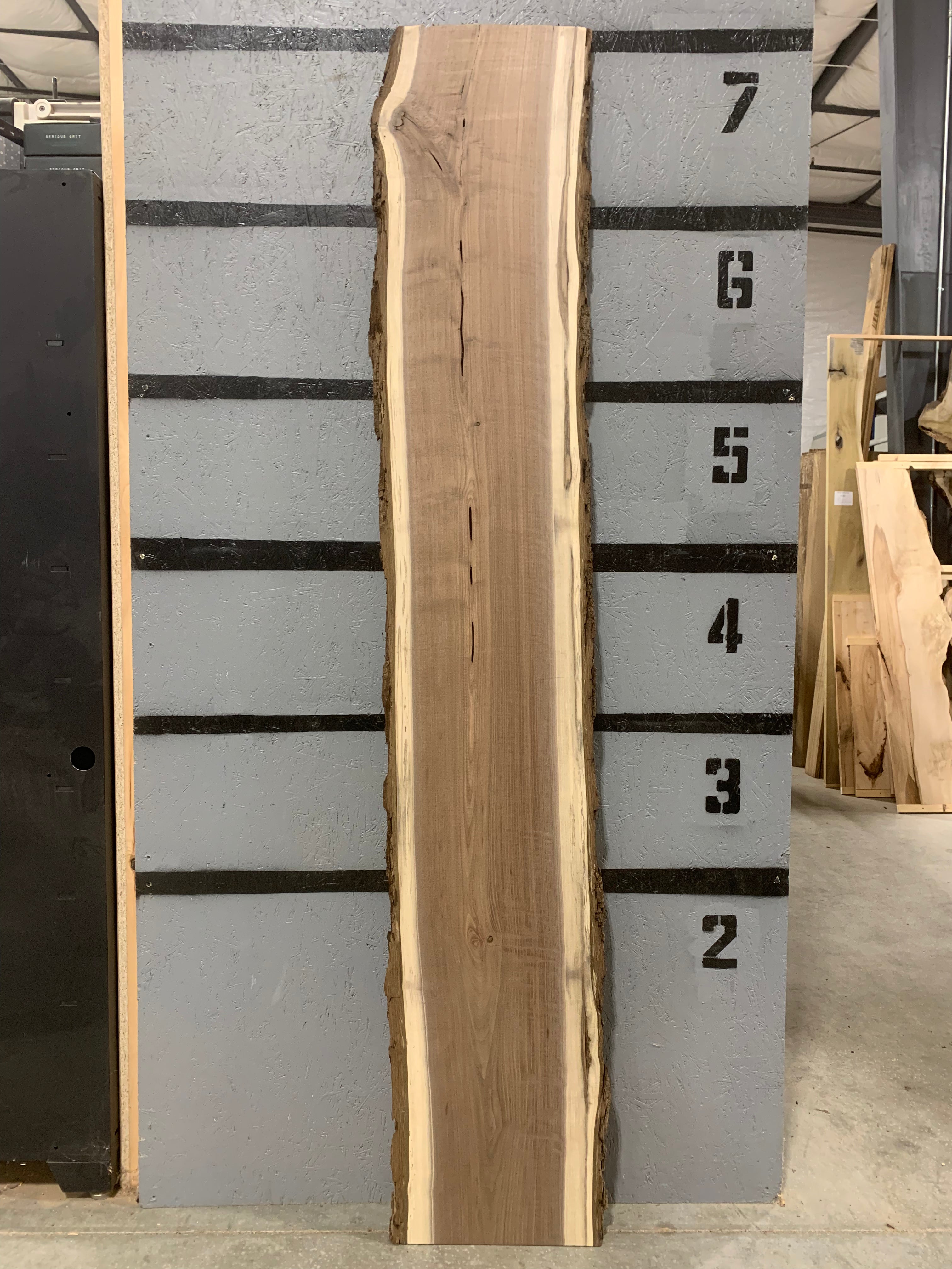 Black Walnut Slab | W531