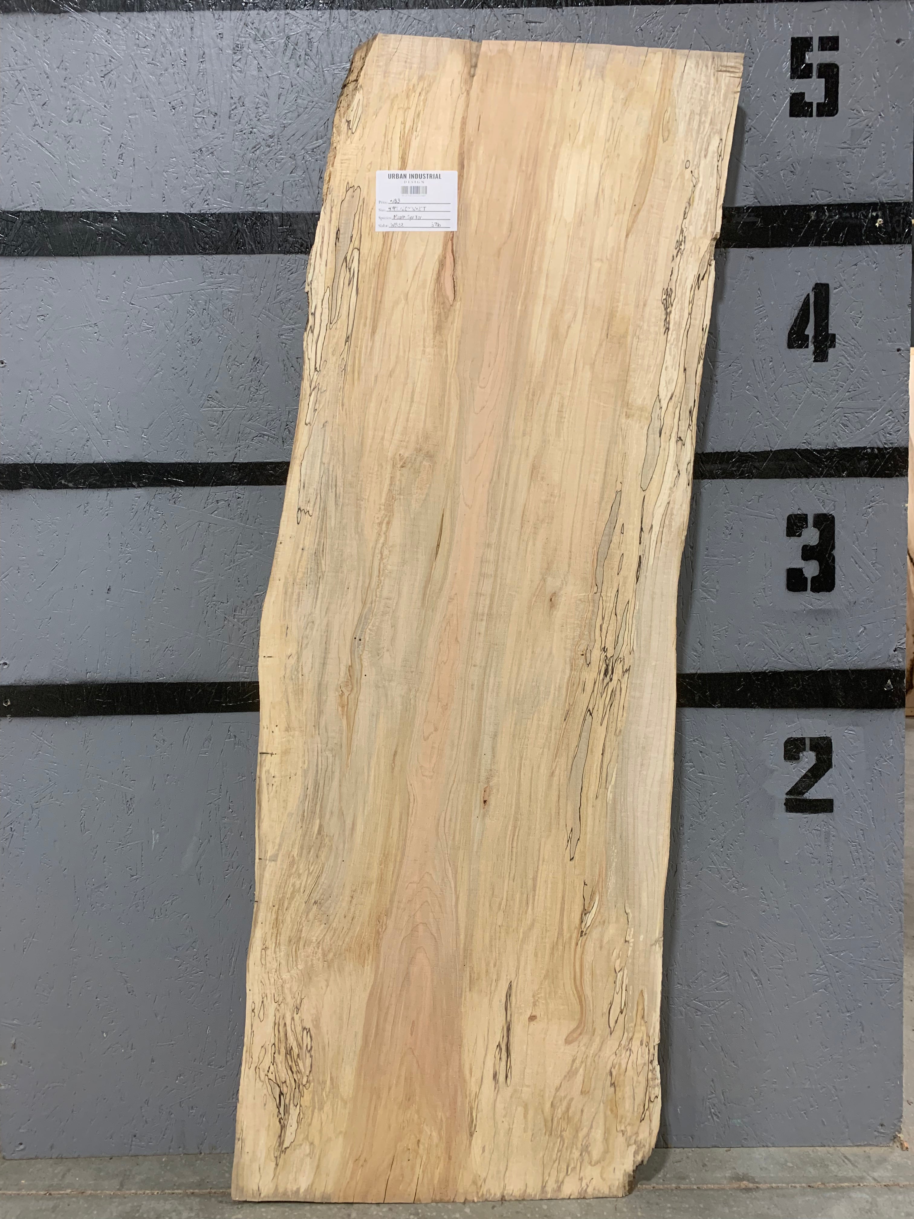 Maple Slab - Spalted | W532