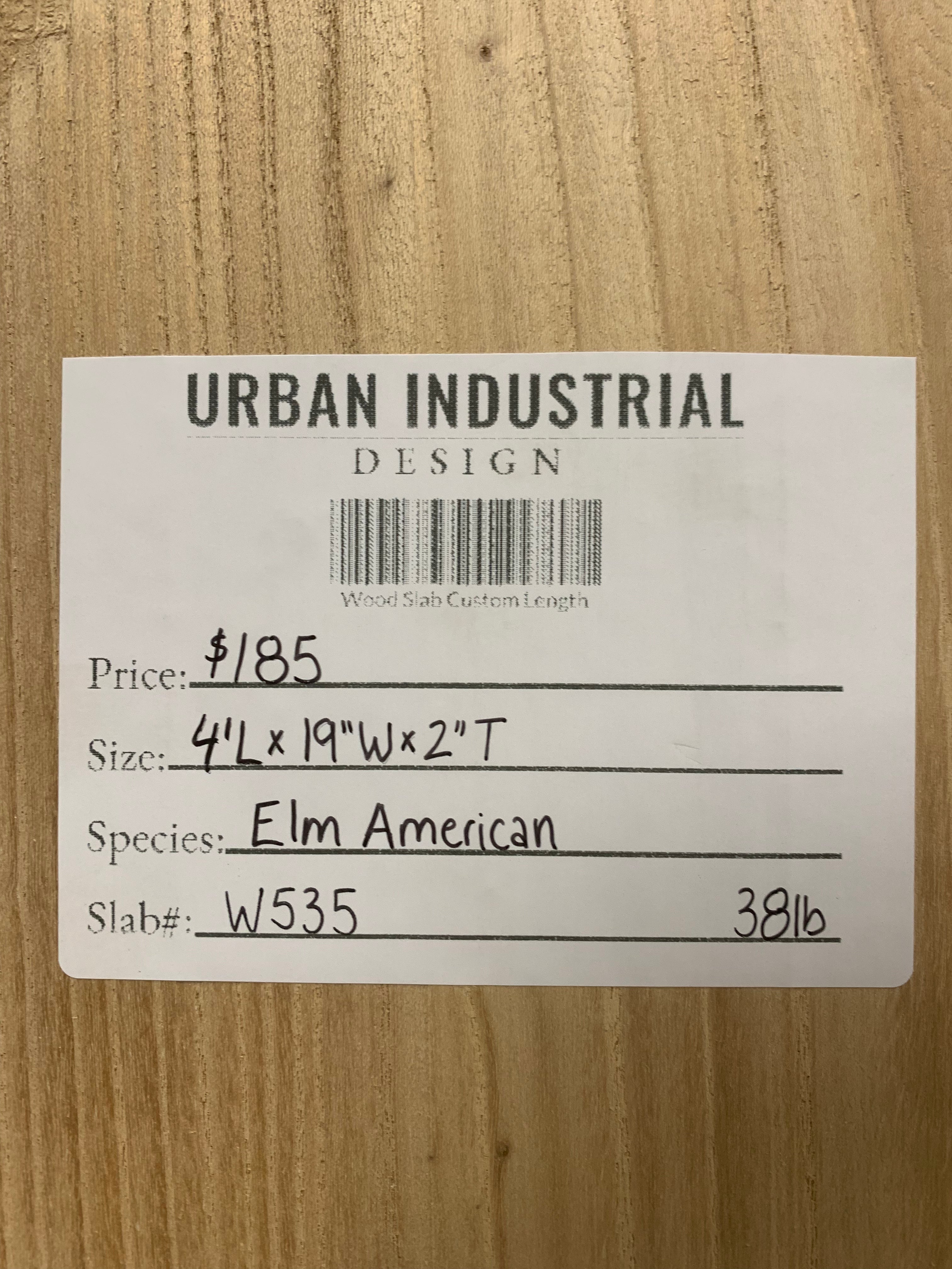 American Elm Slab | W535
