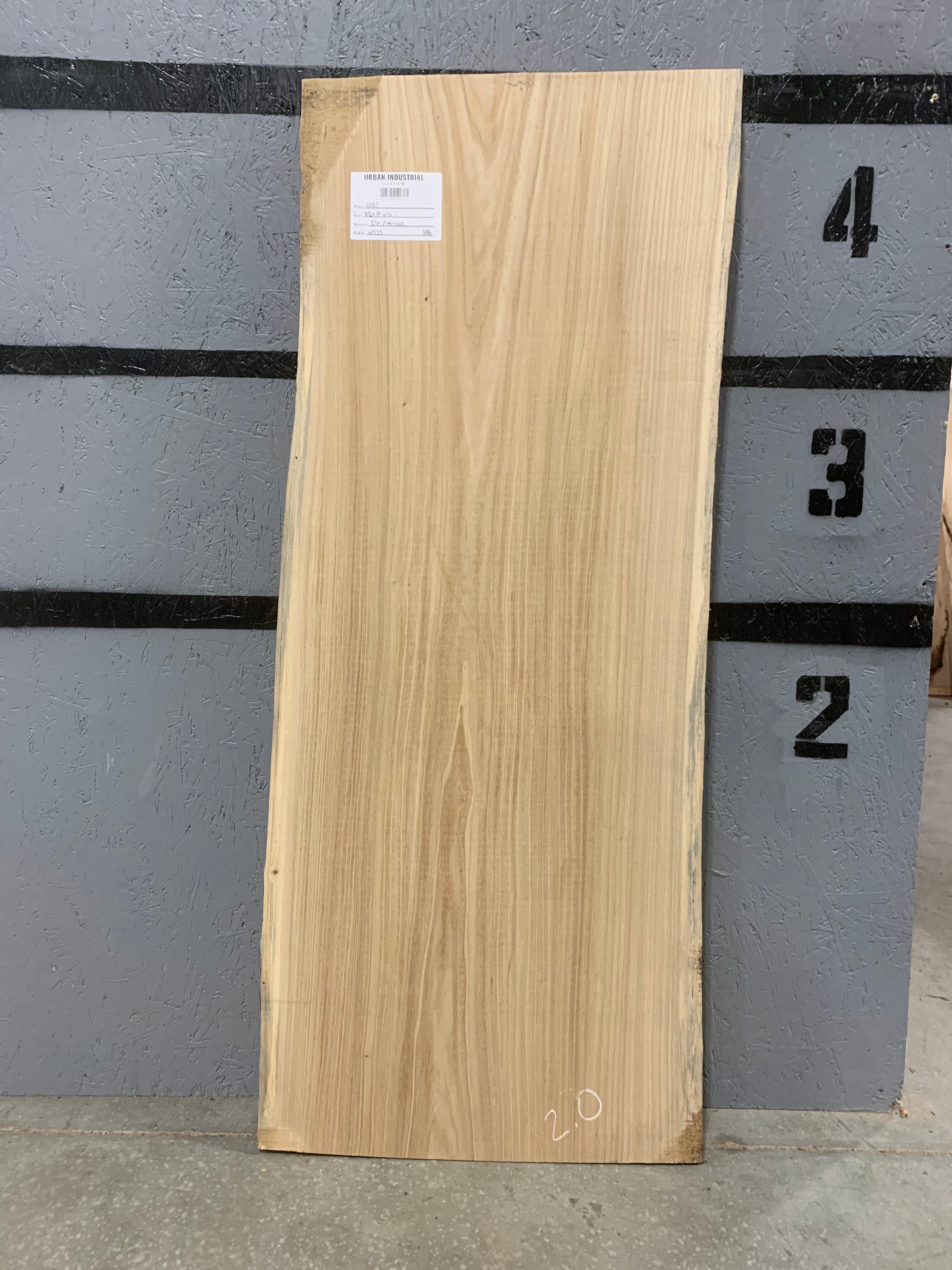 American Elm Slab | W535