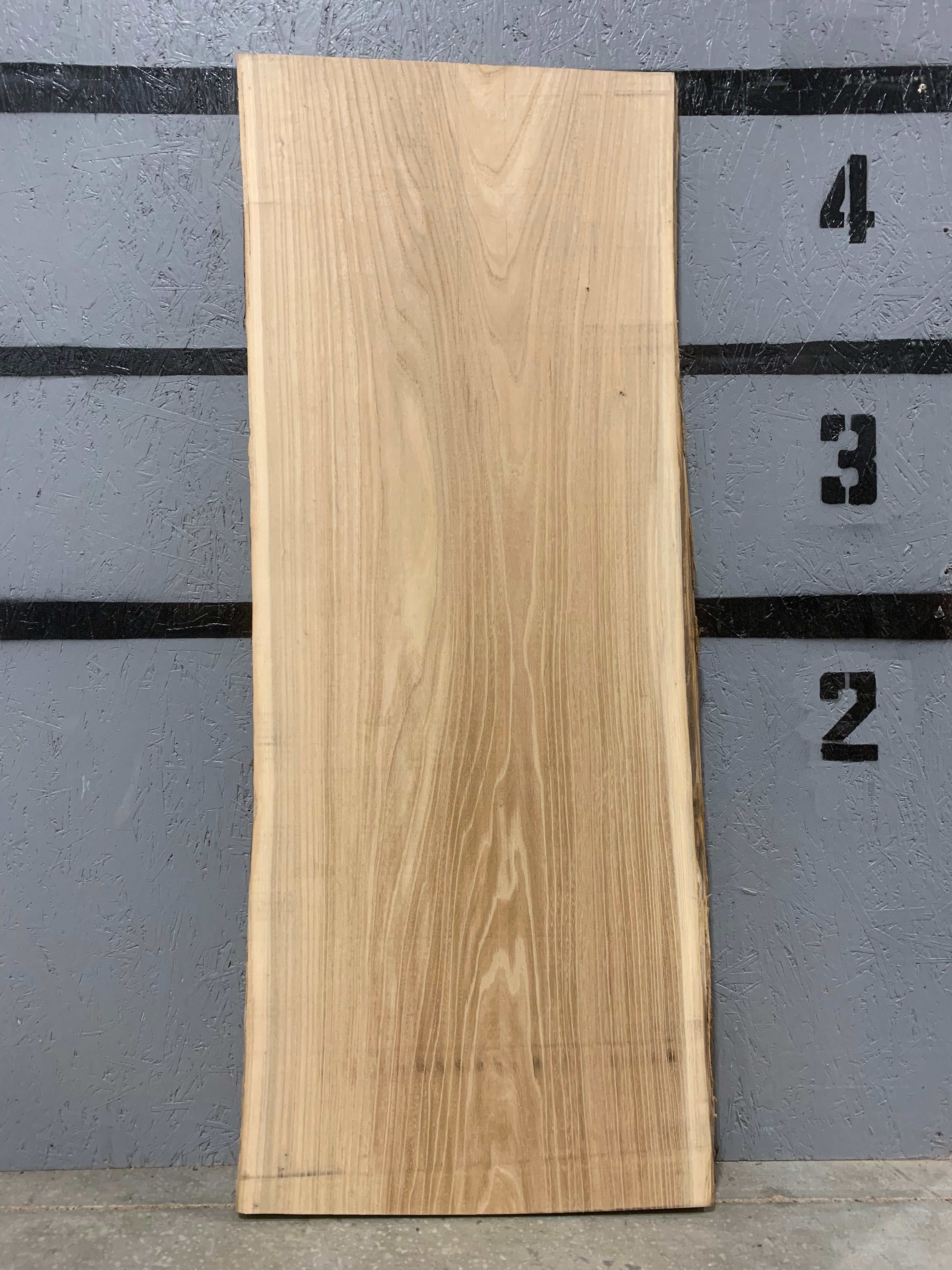 American Elm Slab | W535