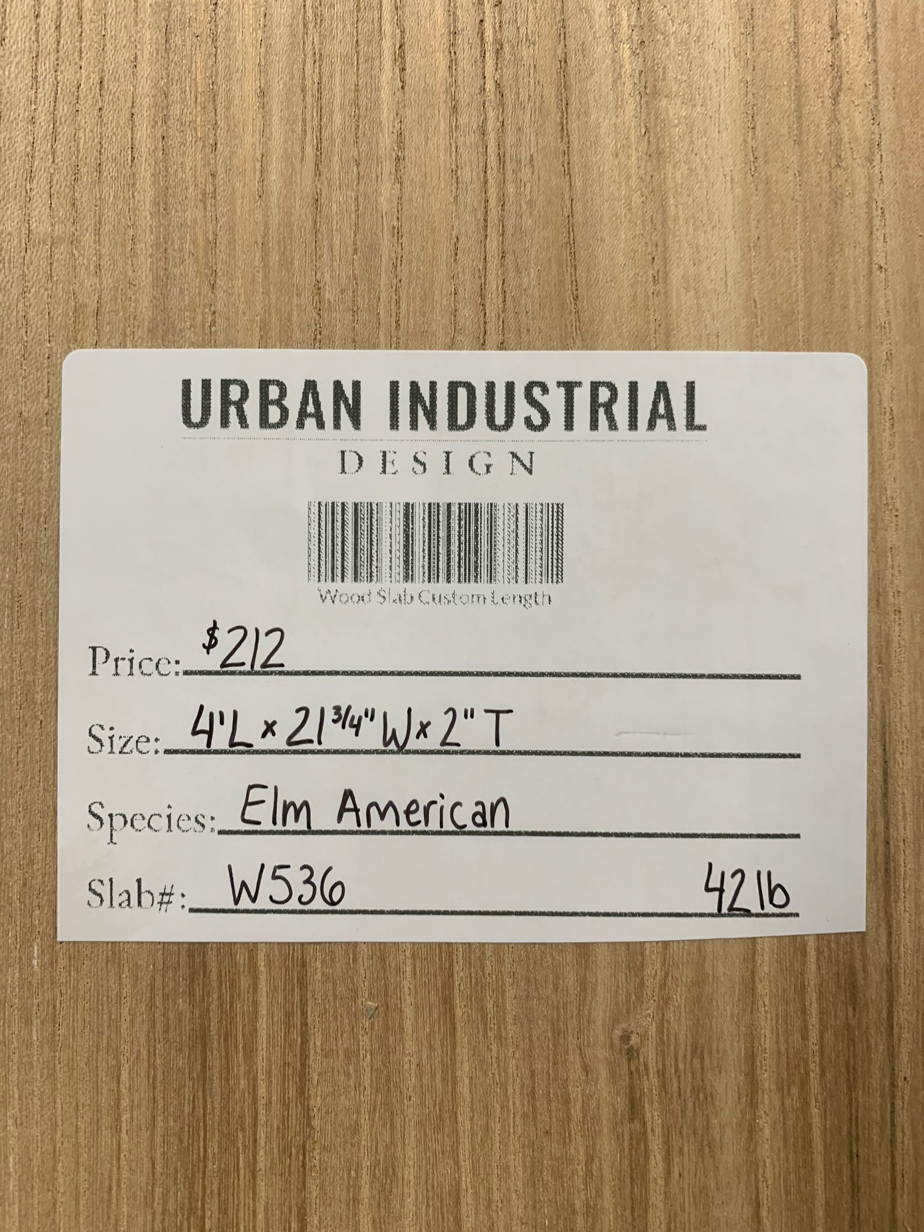 American Elm Slab | W536