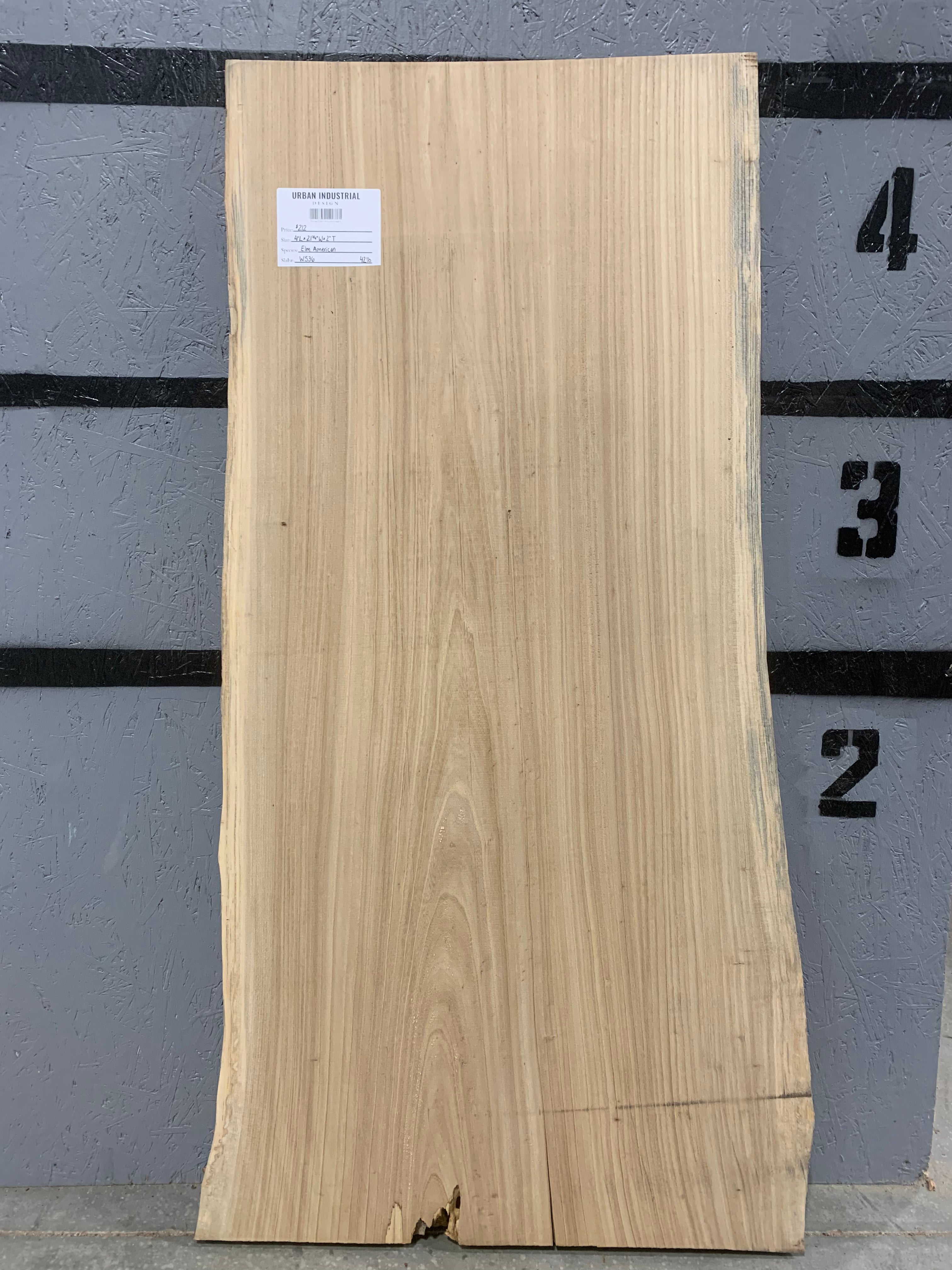 American Elm Slab | W536