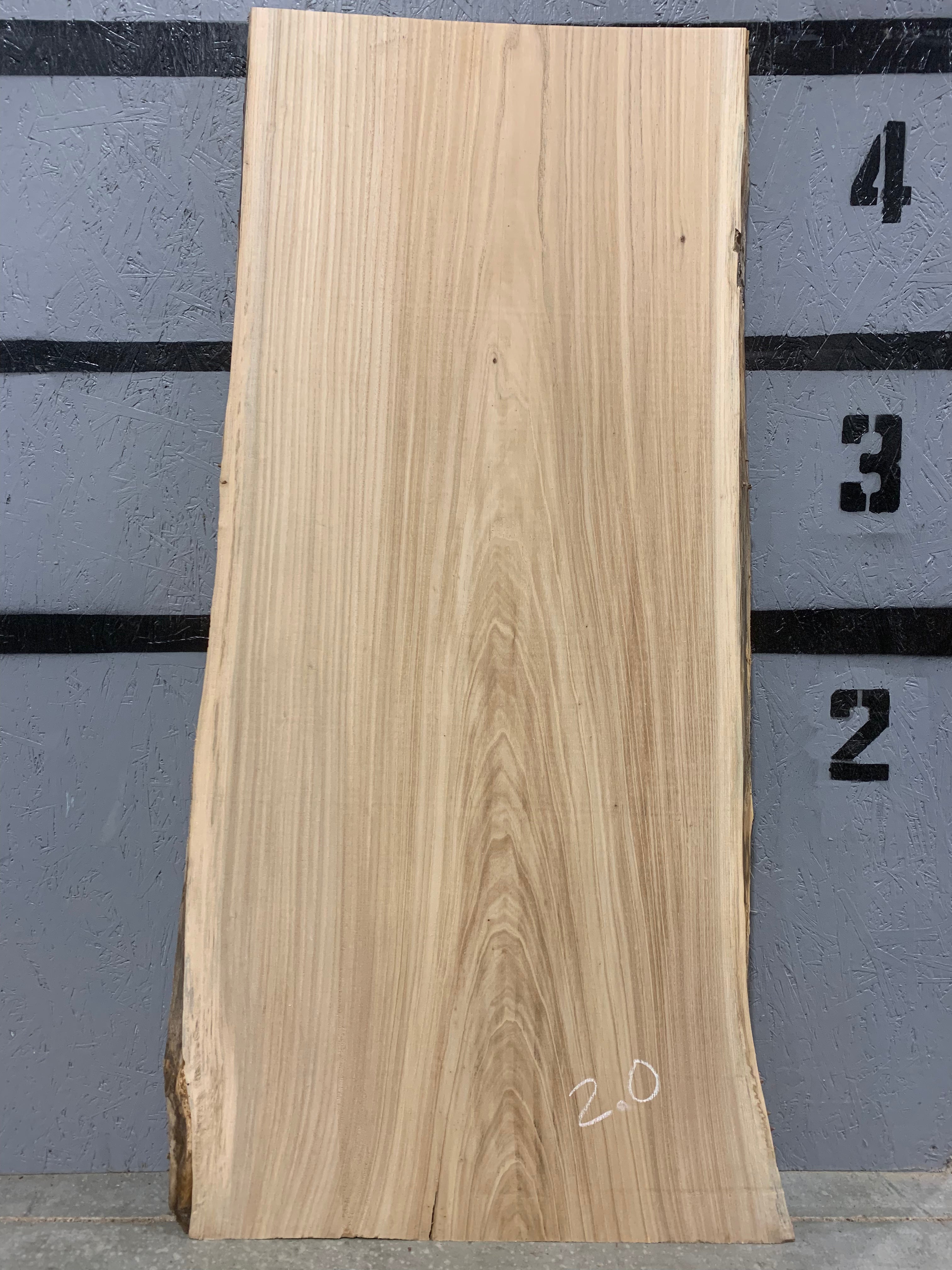 American Elm Slab | W536