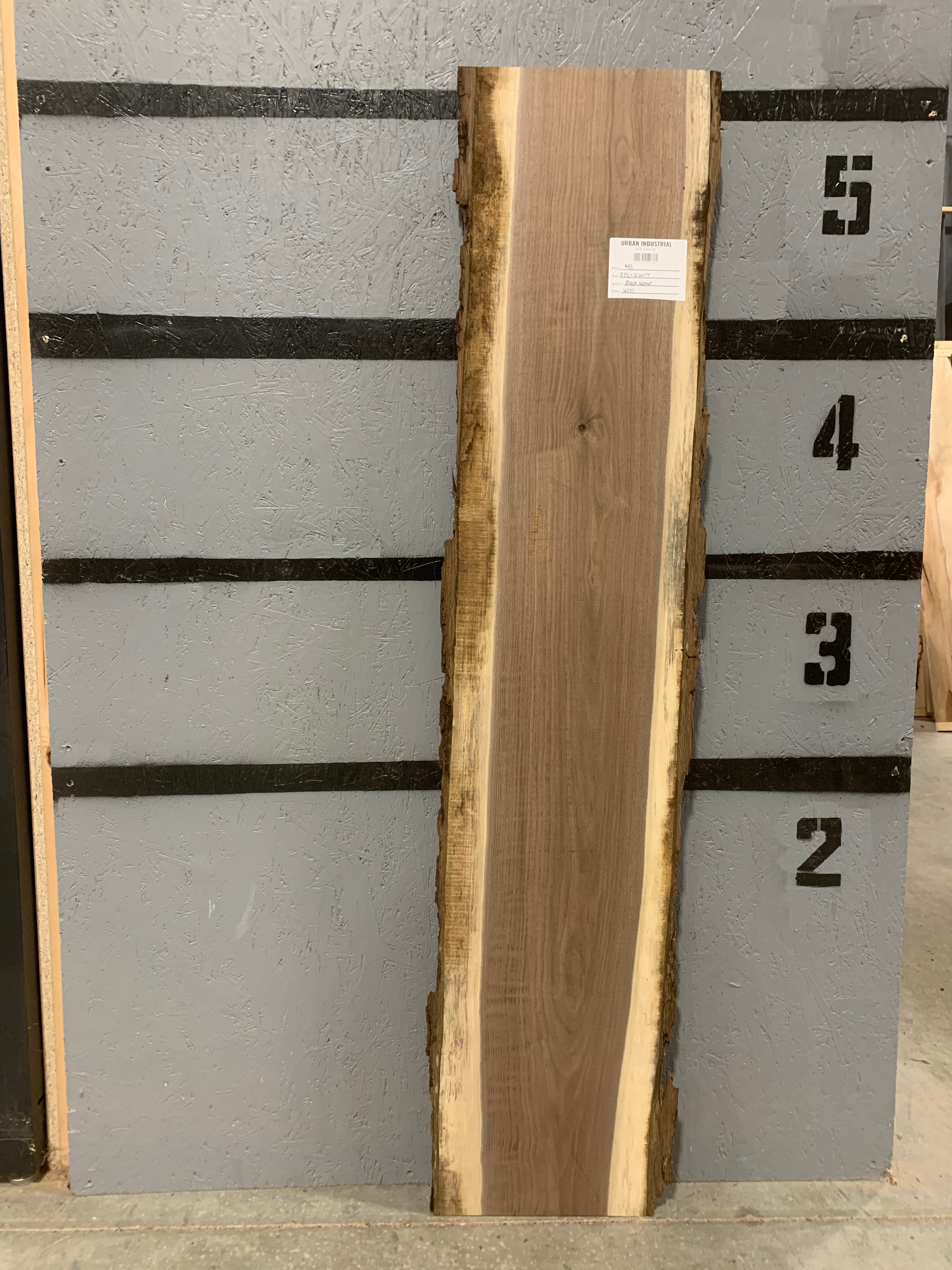 Black Walnut Slab | W537