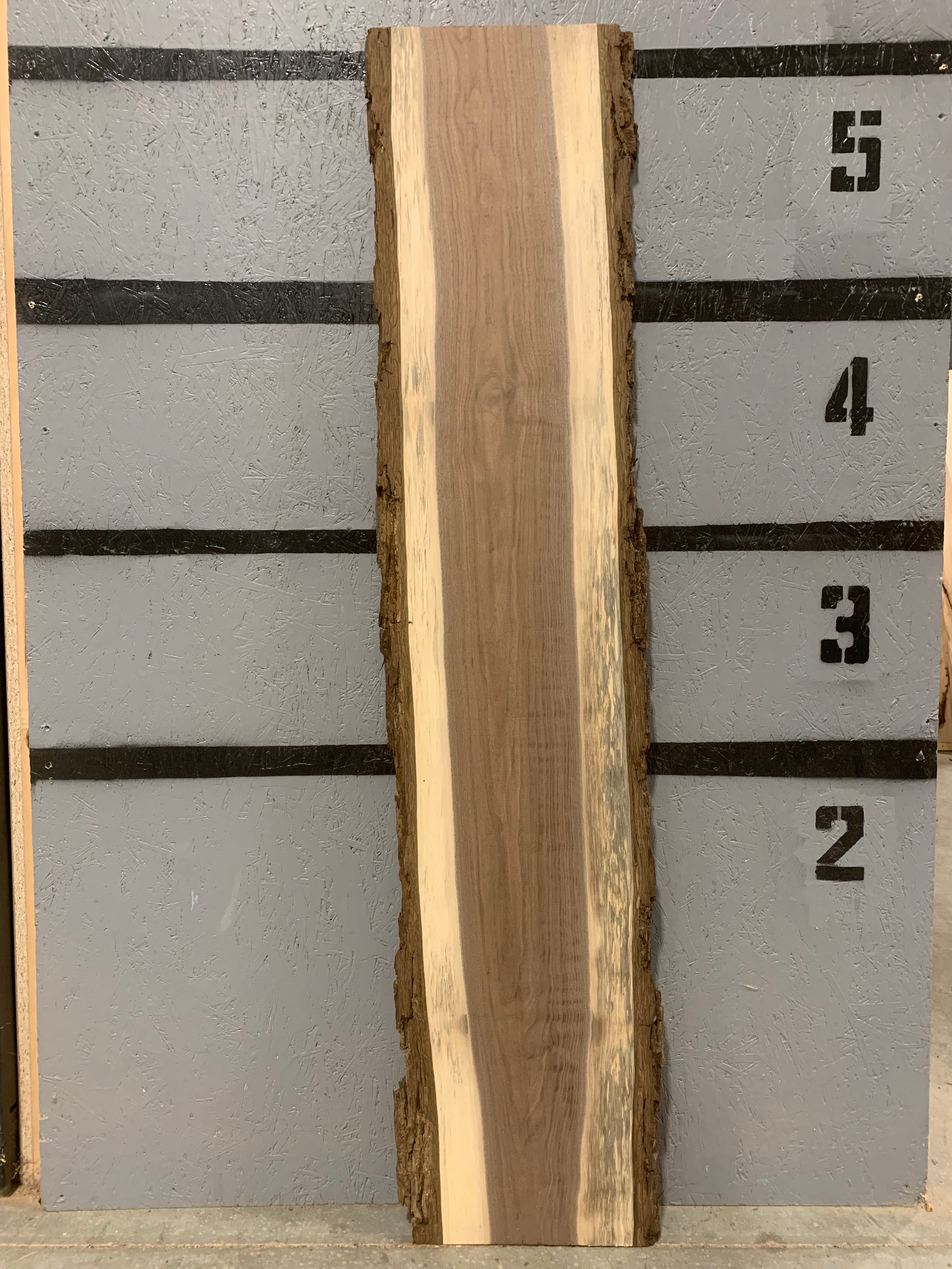 Black Walnut Slab | W537
