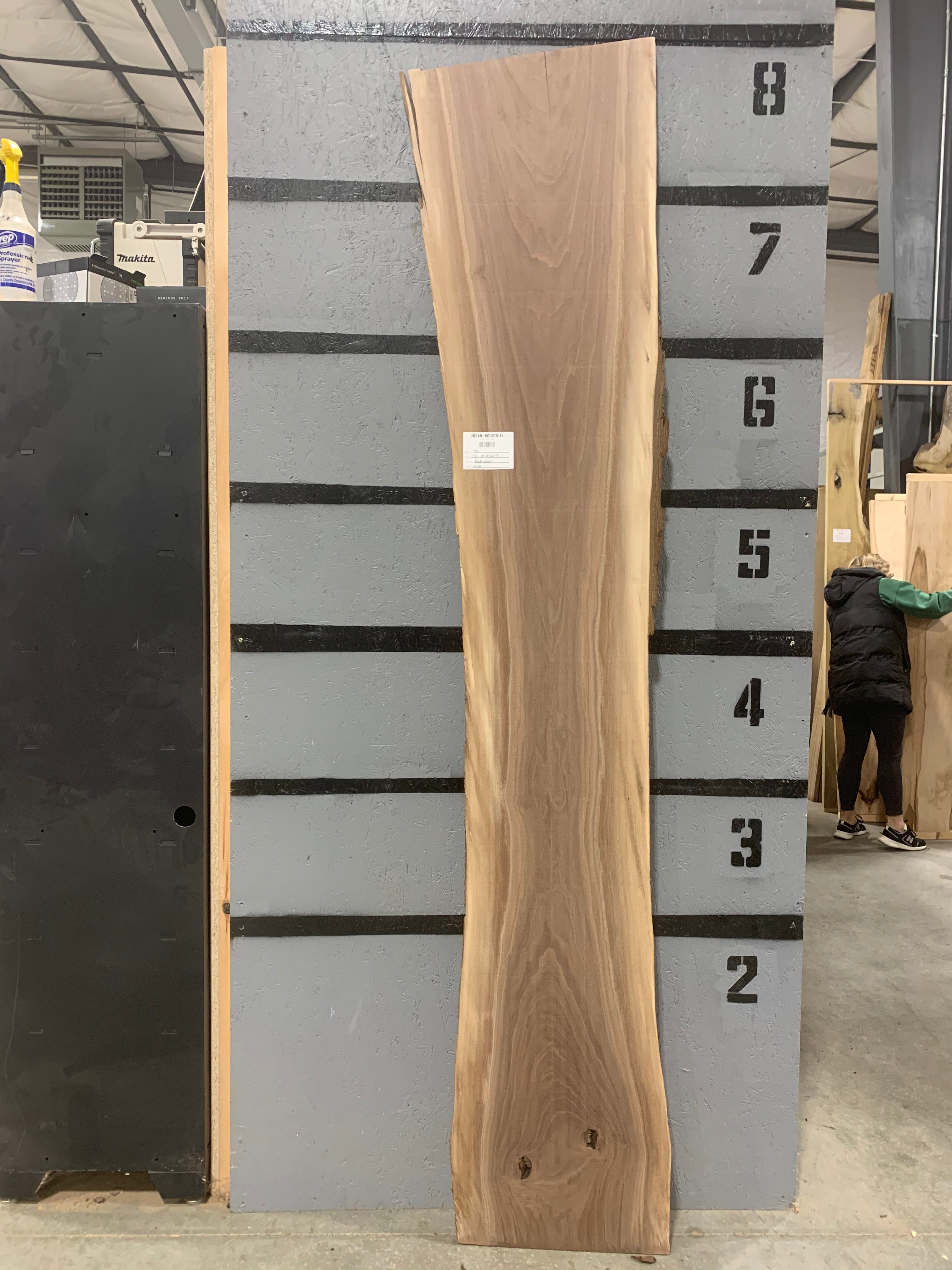 Black Walnut Slab | W539