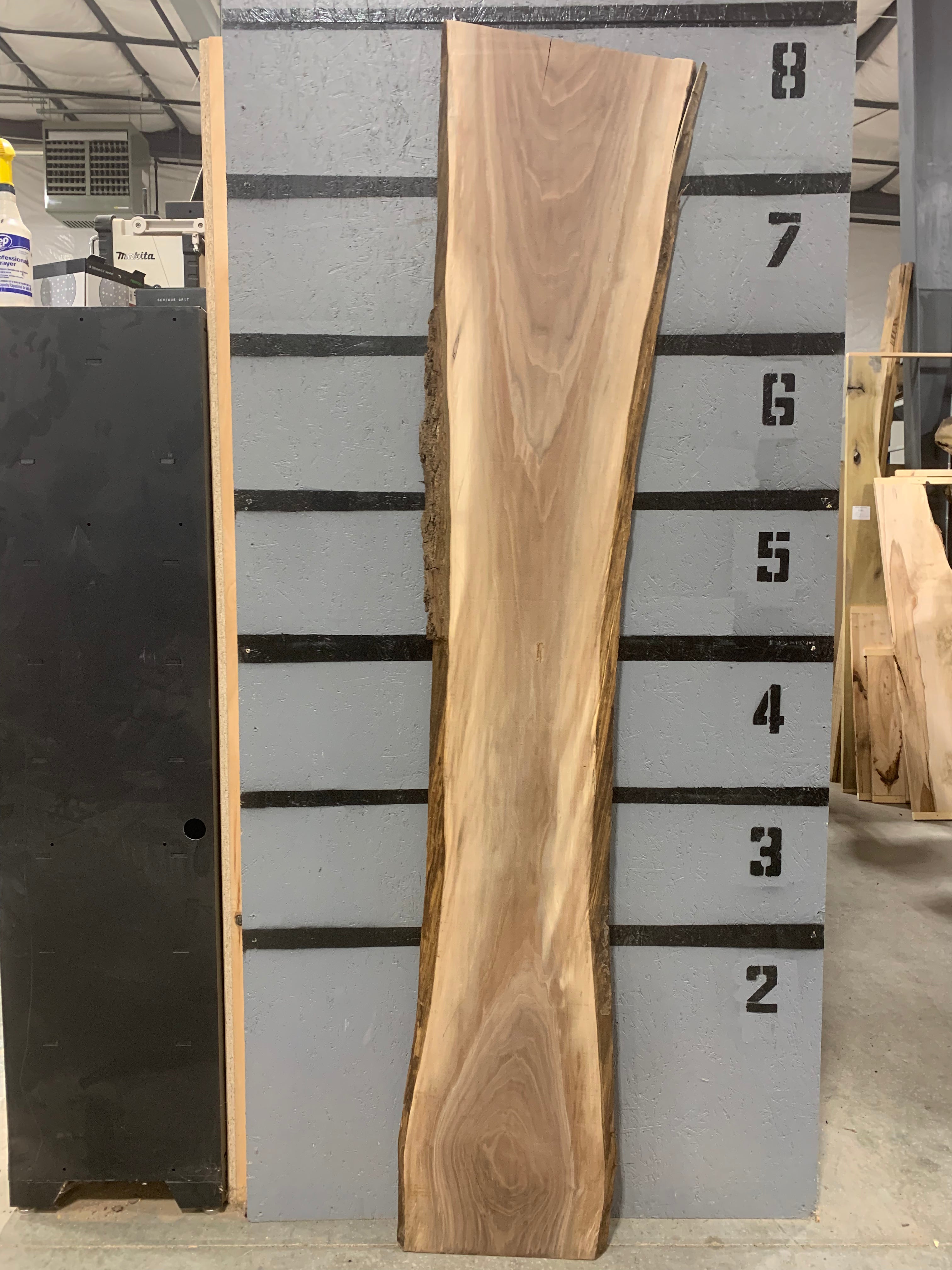 Black Walnut Slab | W539