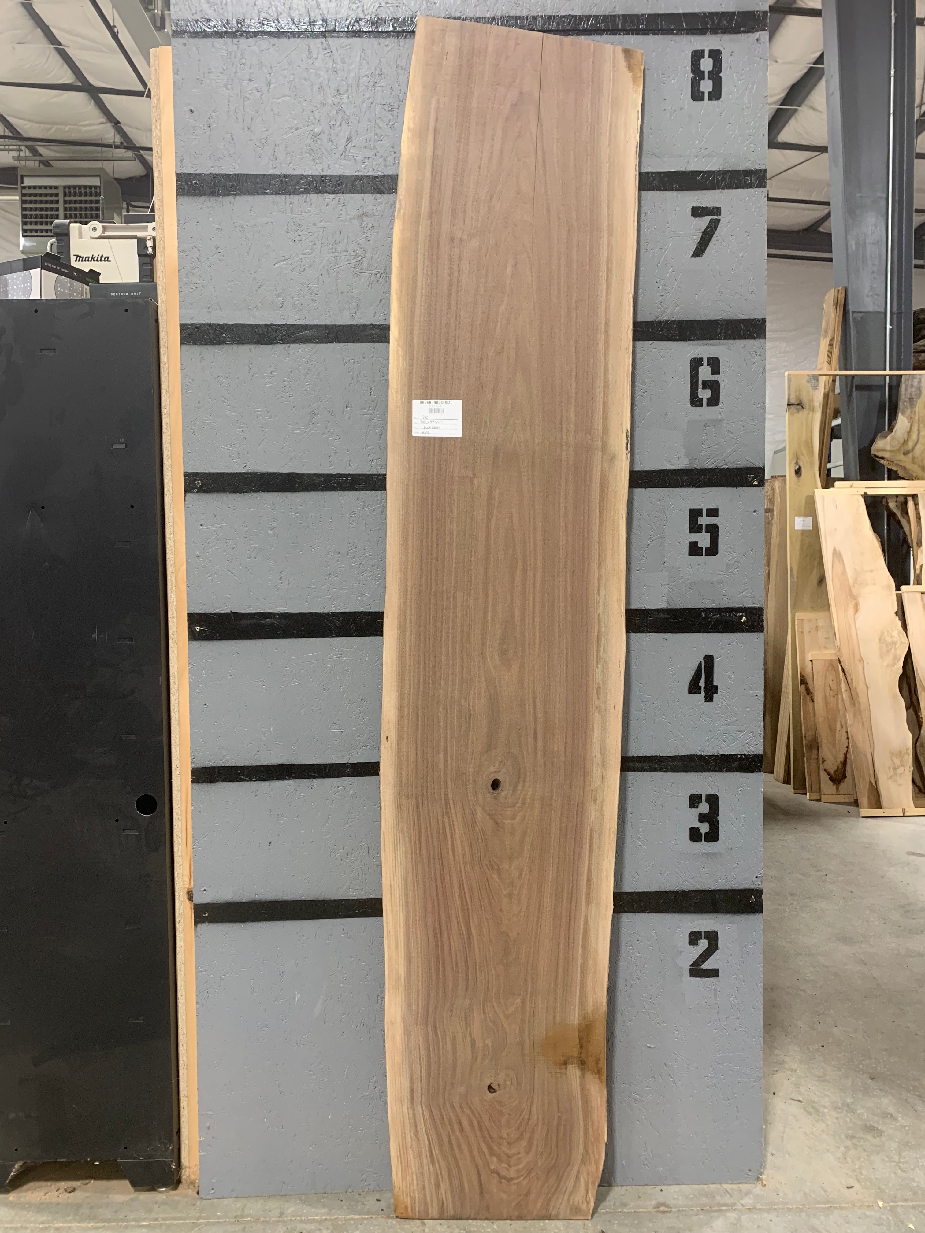 Black Walnut Slab | W540