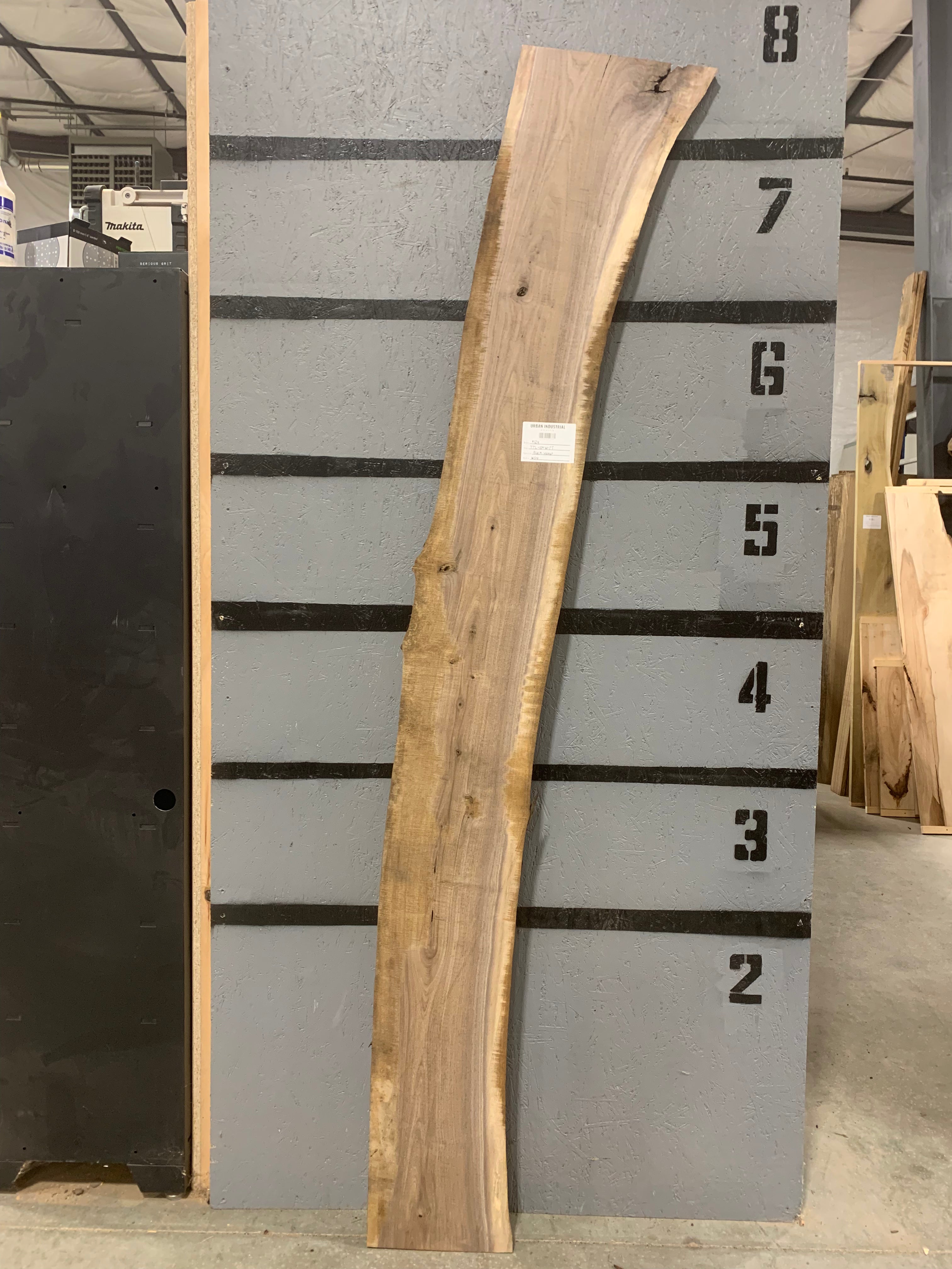 Black Walnut Slab | W541