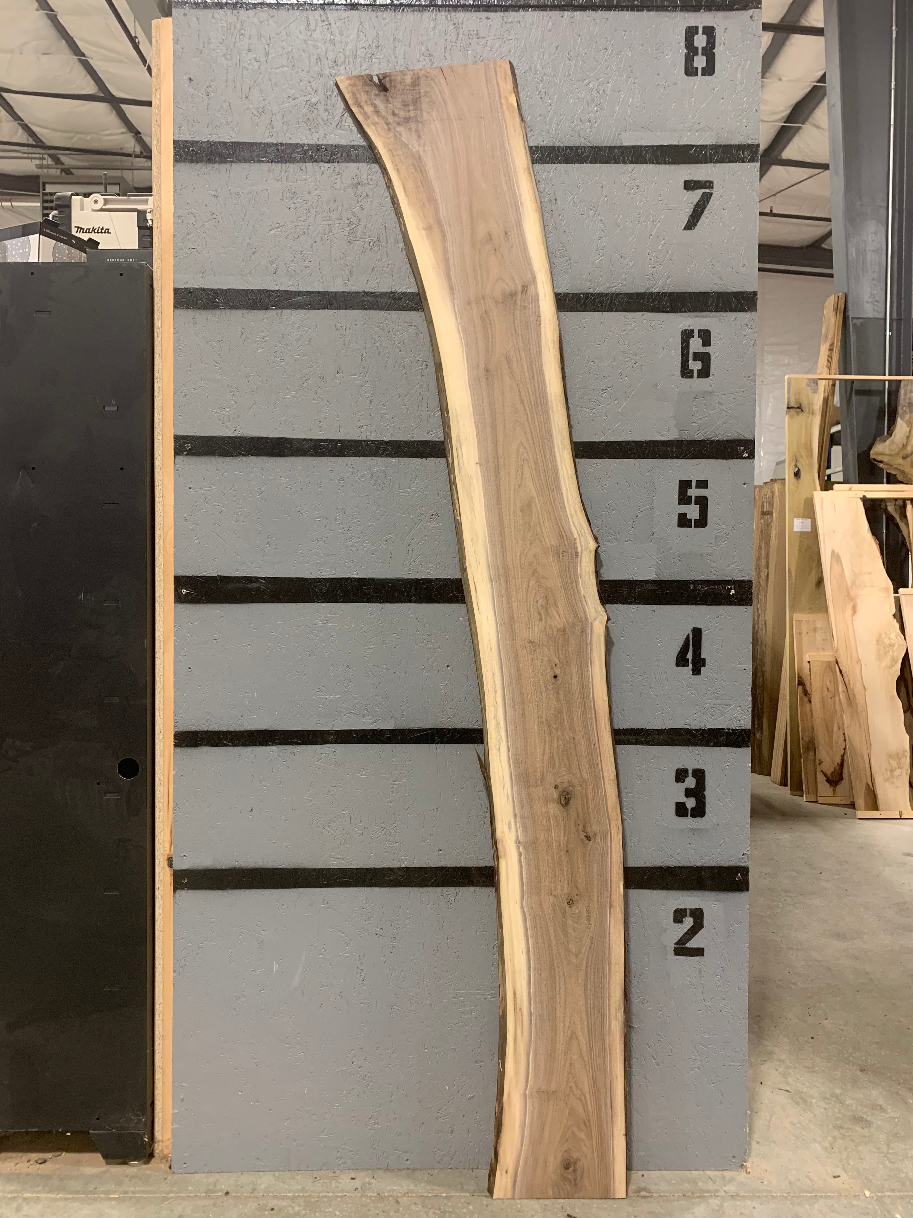 Black Walnut Slab | W541