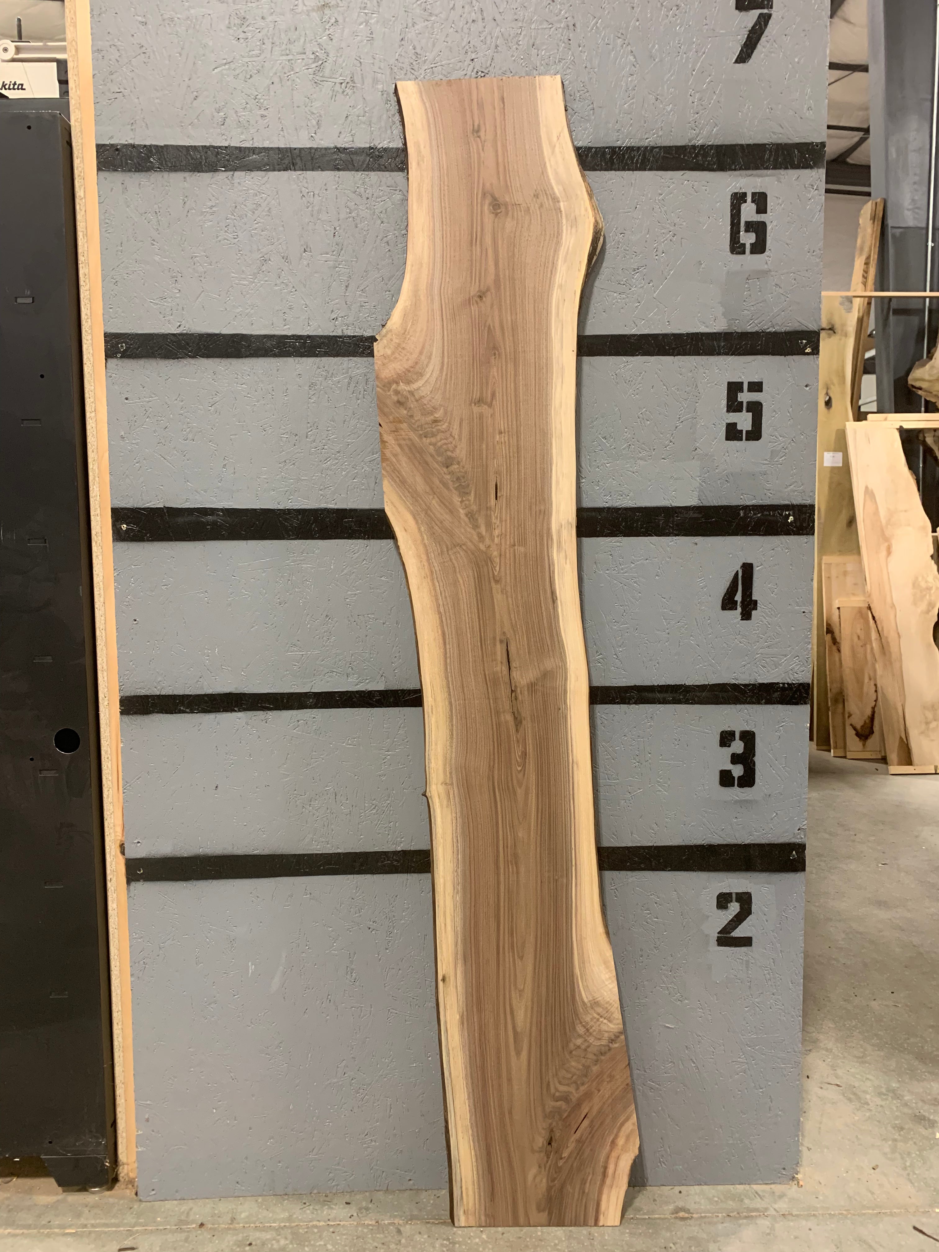 Black Walnut Slab | W542