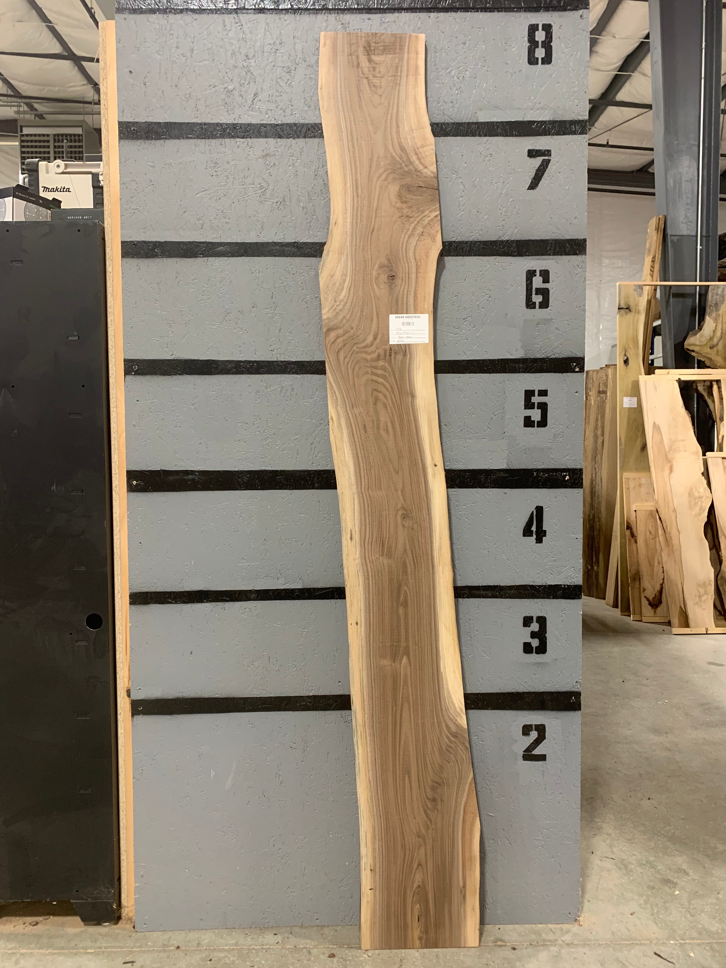 Black Walnut Slab | W545