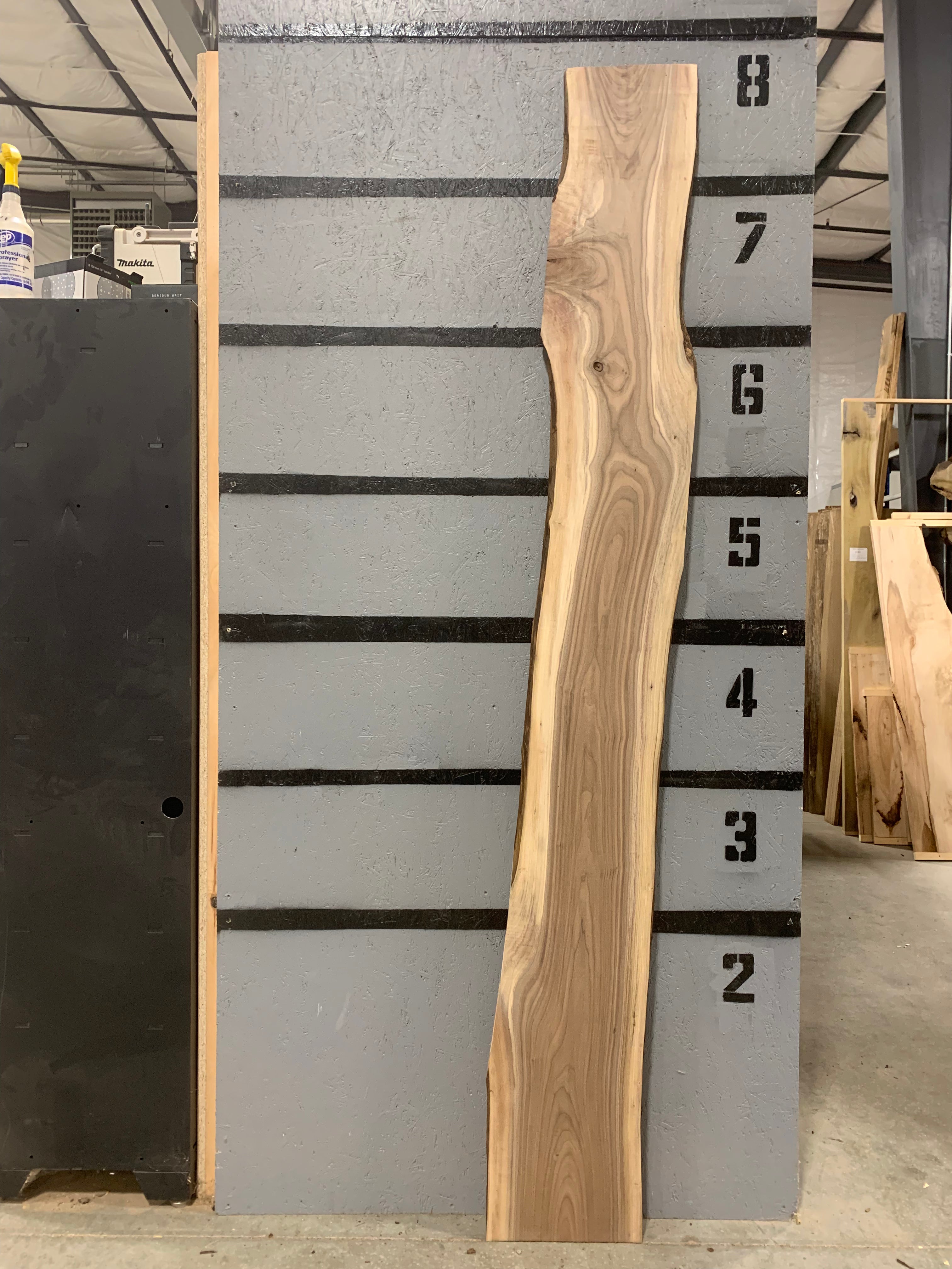 Black Walnut Slab | W545