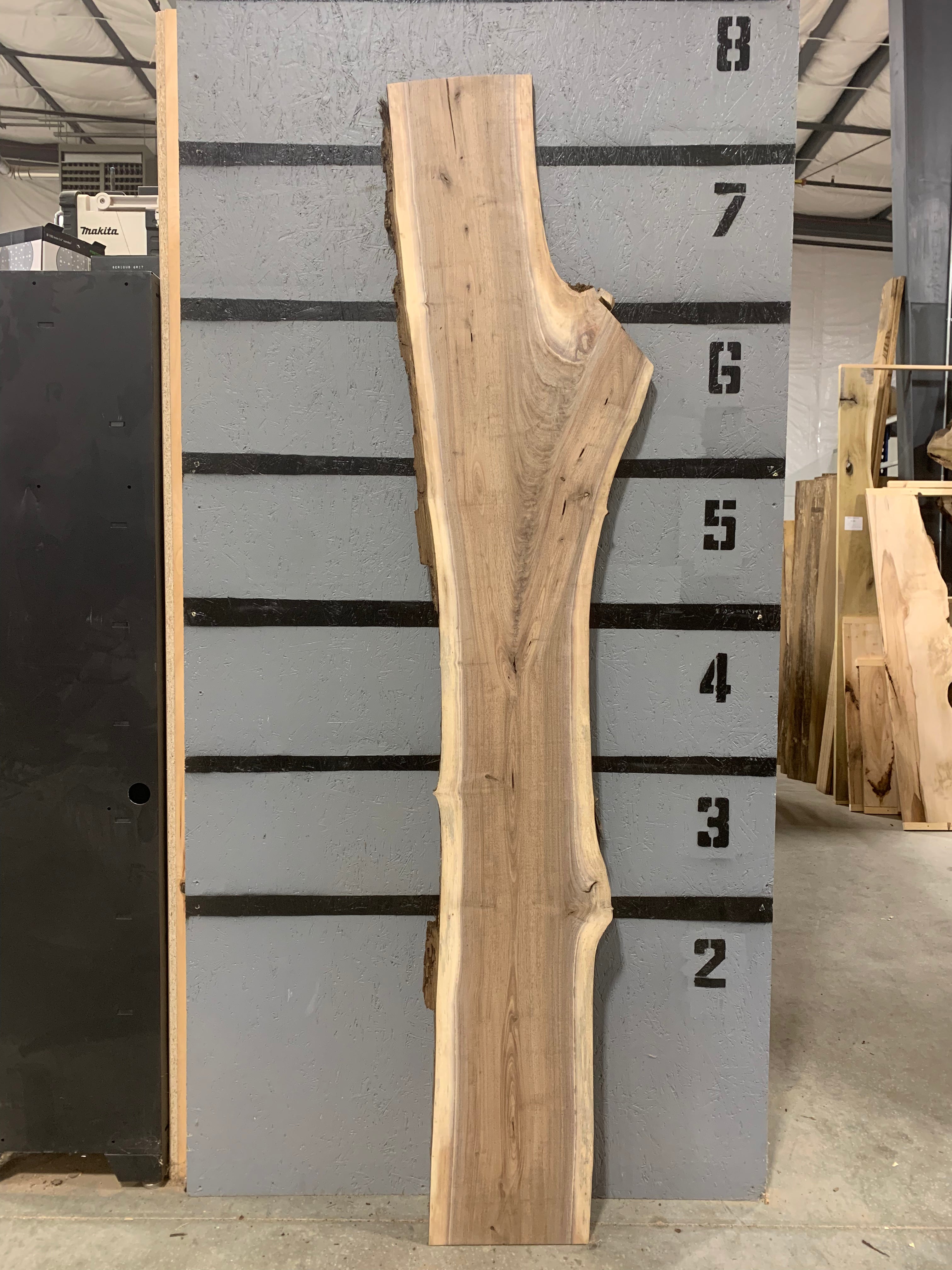 Black Walnut Slab | W547