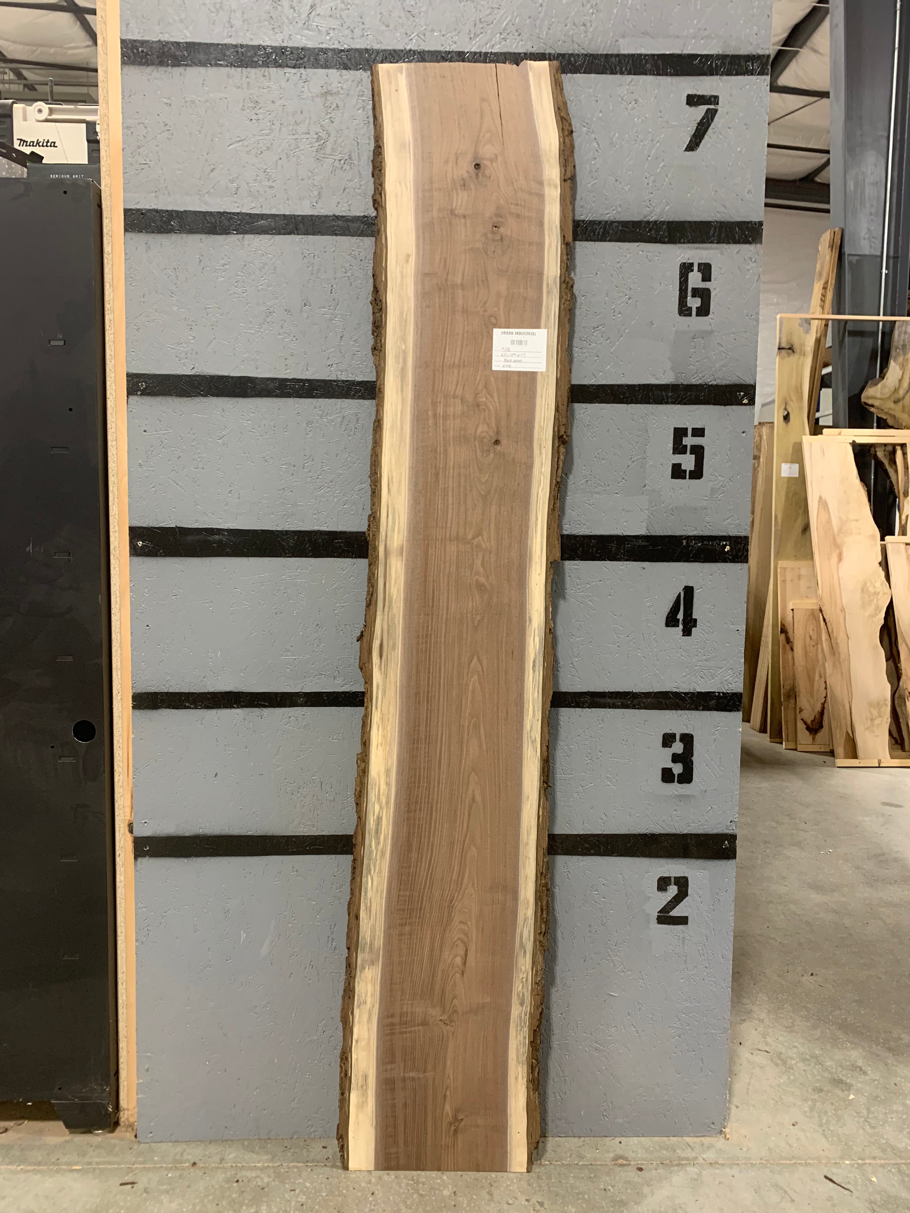 Black Walnut Slab | W548