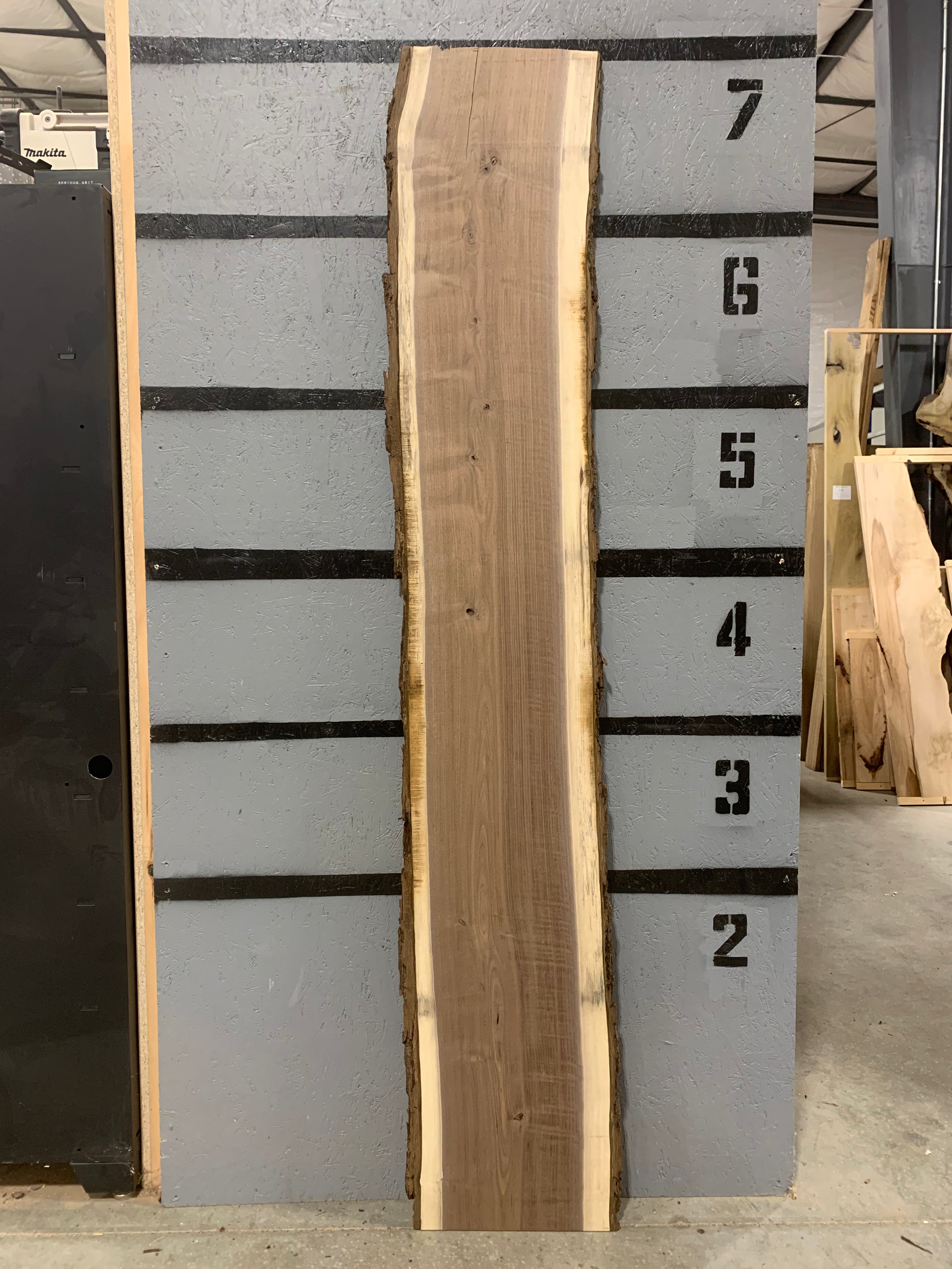 Black Walnut Slab | W548