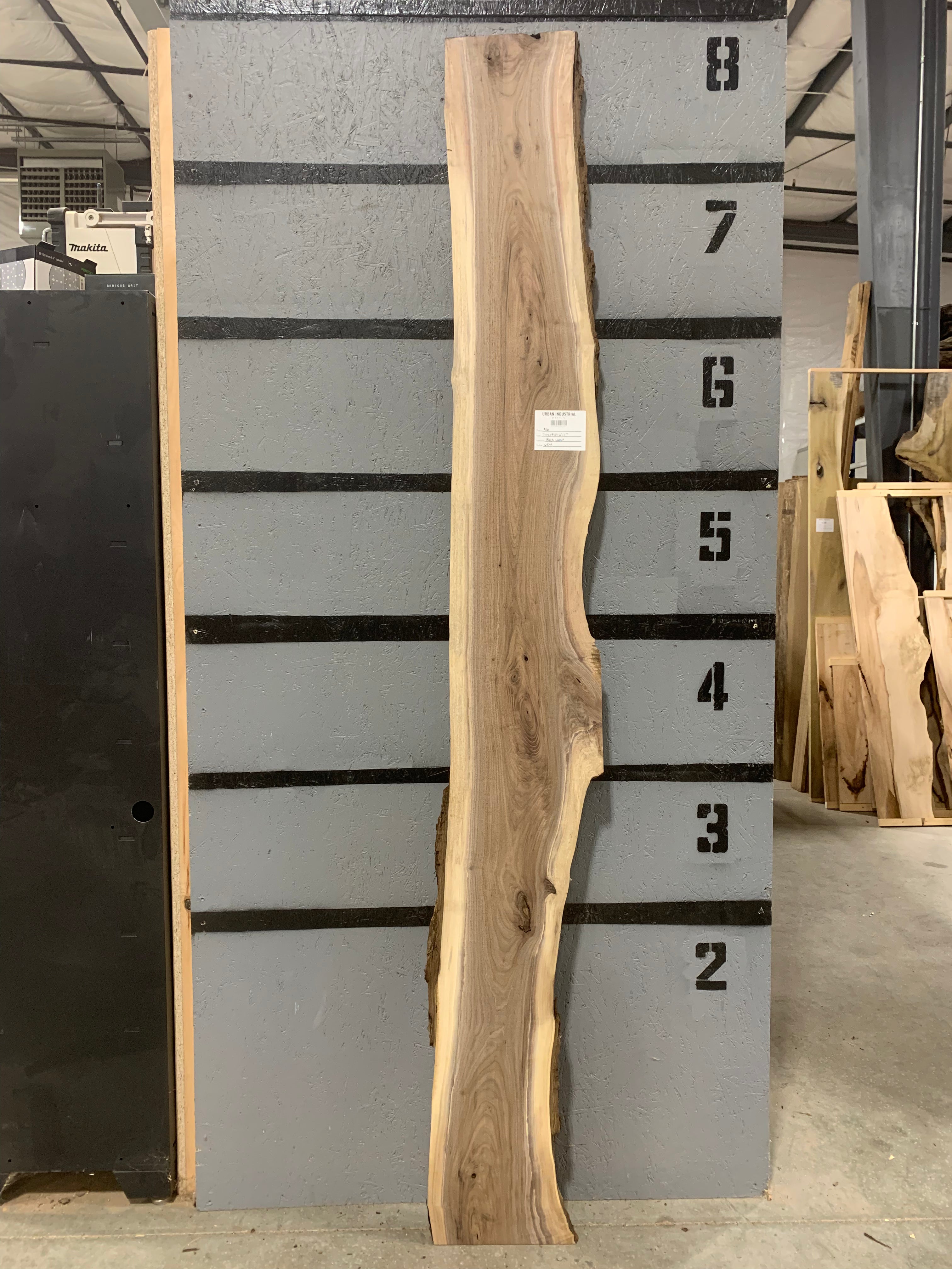 Black Walnut Slab | W549