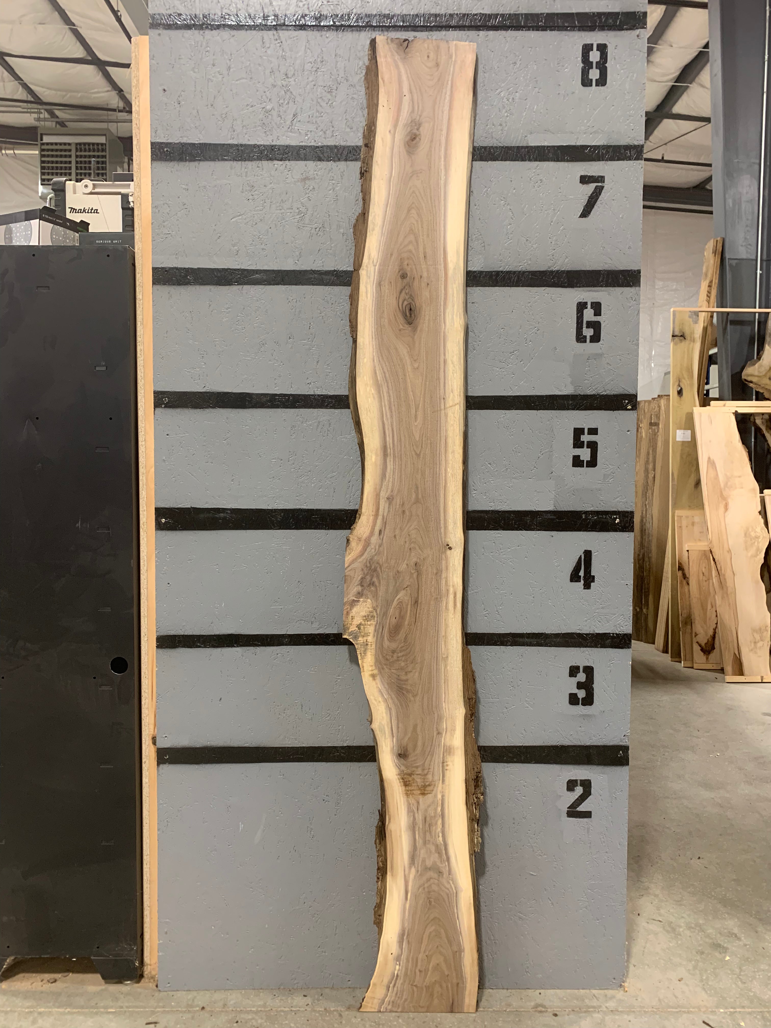 Black Walnut Slab | W549
