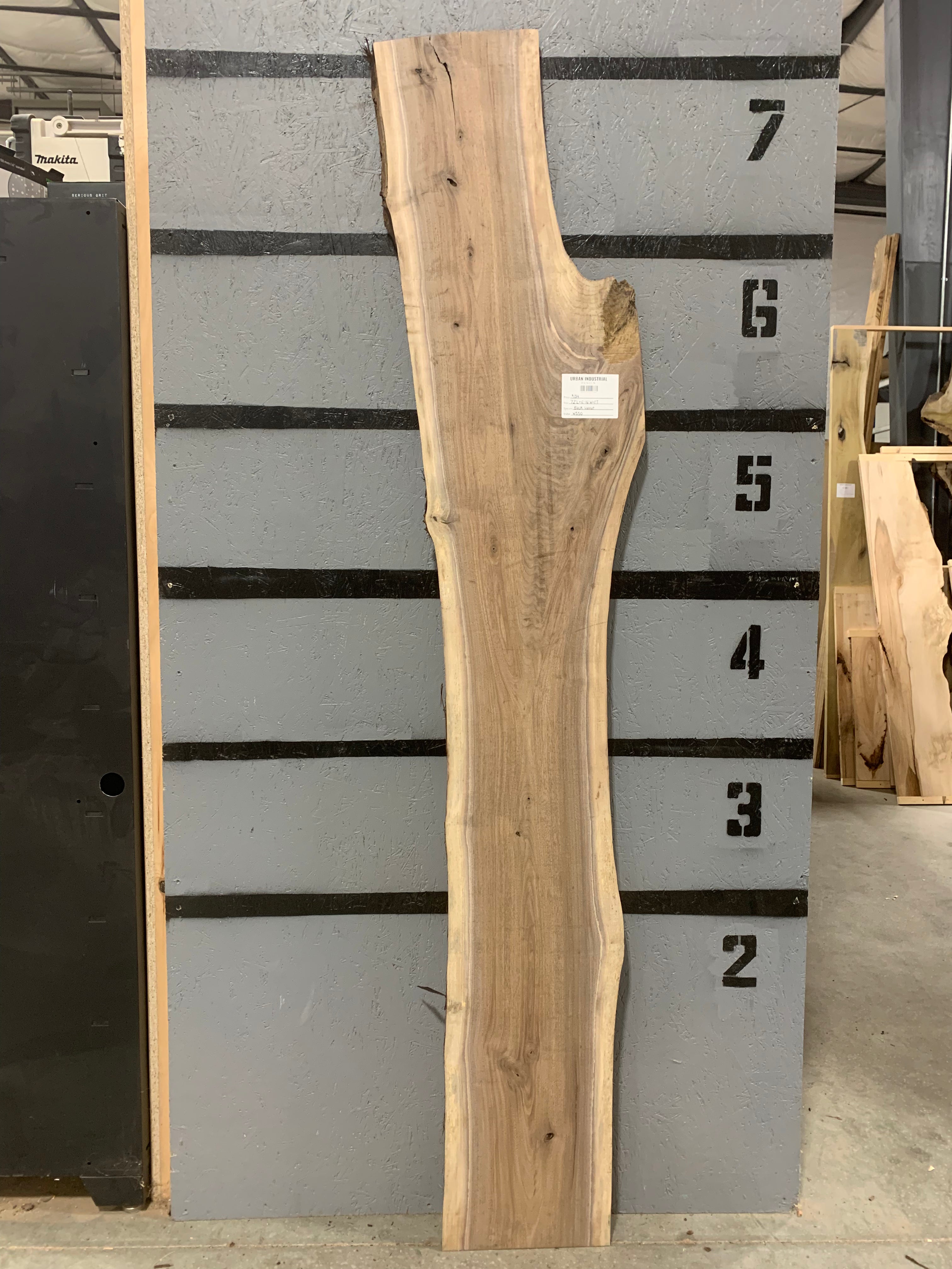 Black Walnut Slab | W550