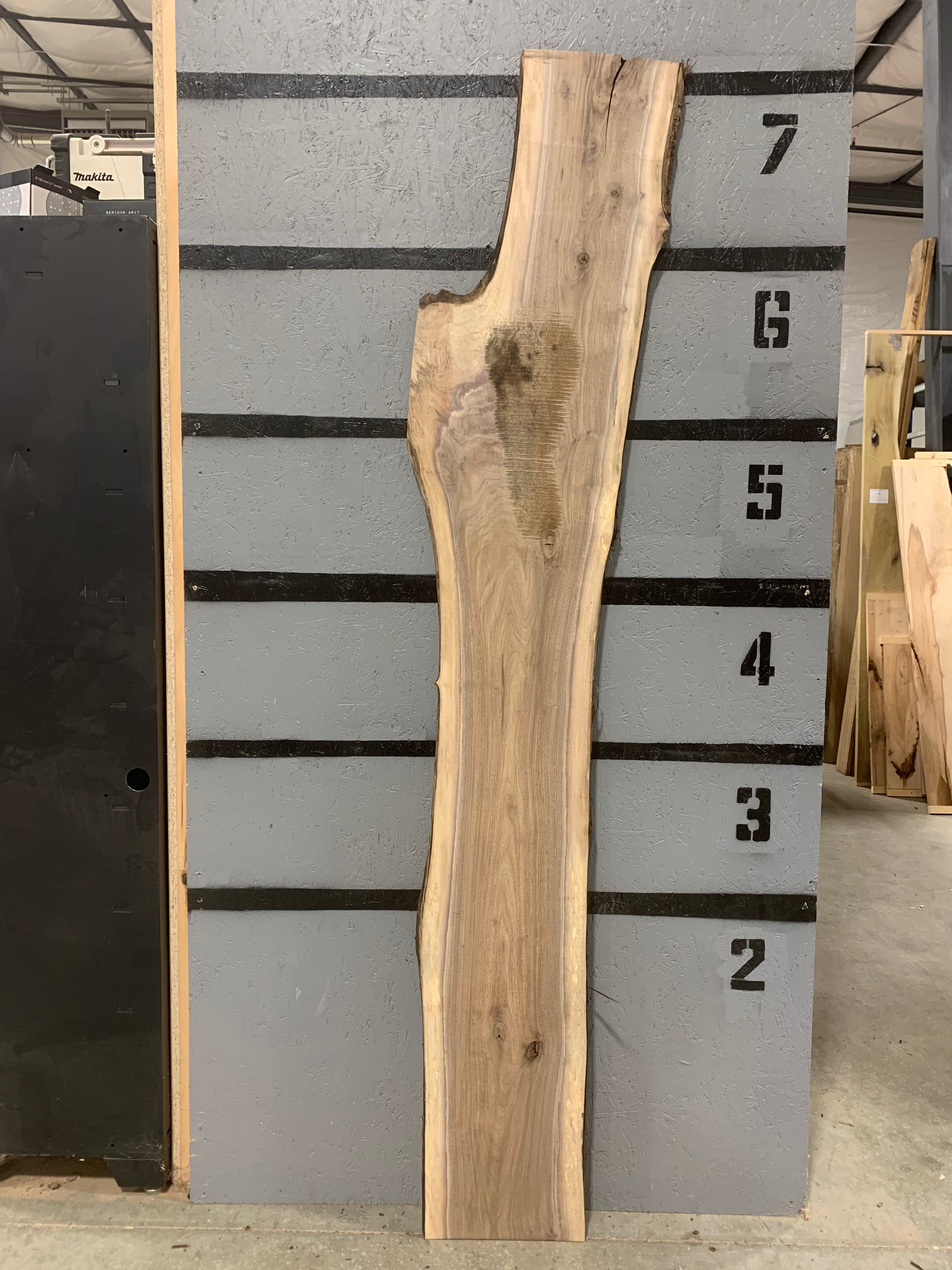 Black Walnut Slab | W550