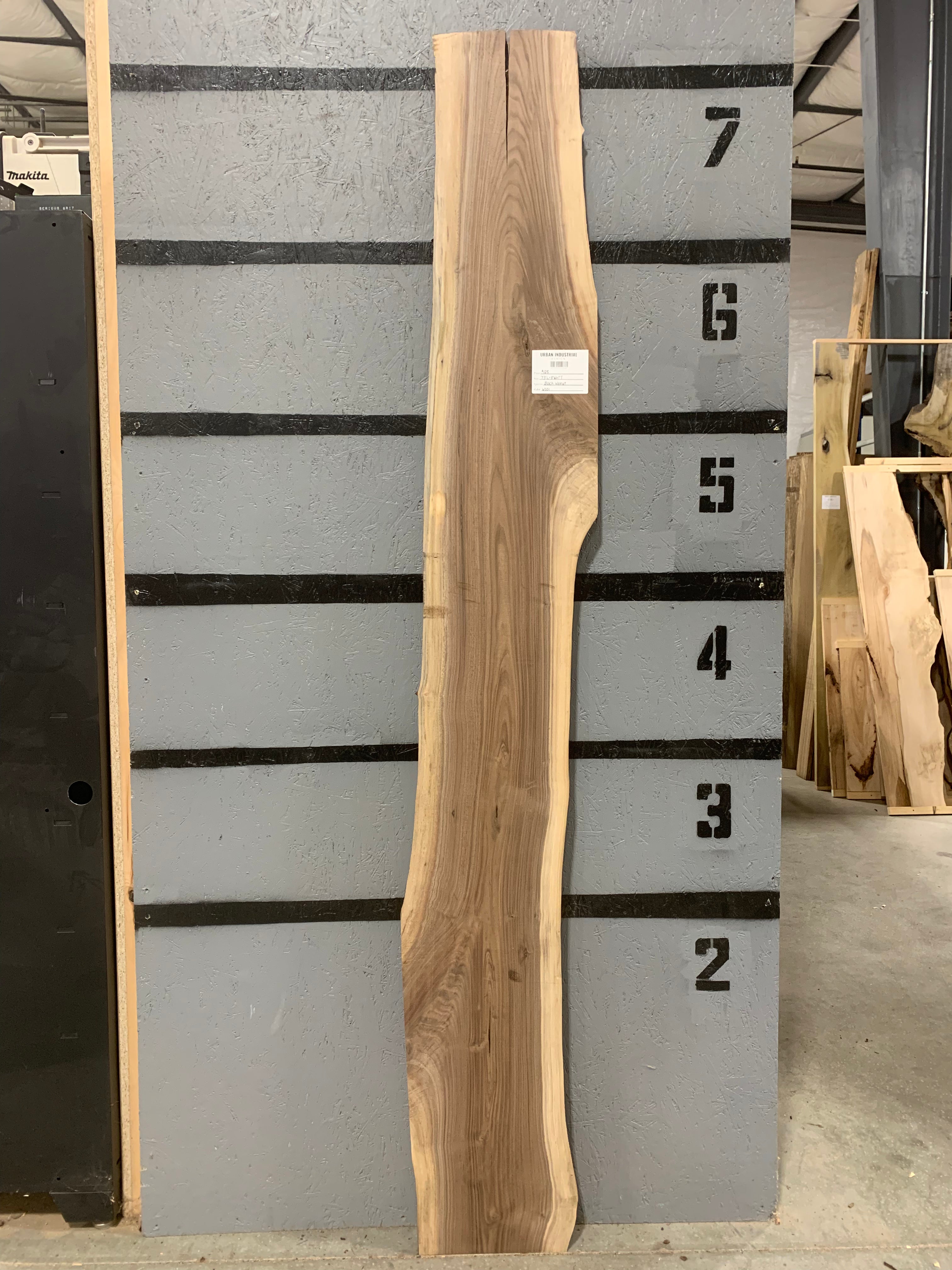 Black Walnut Slab | W551