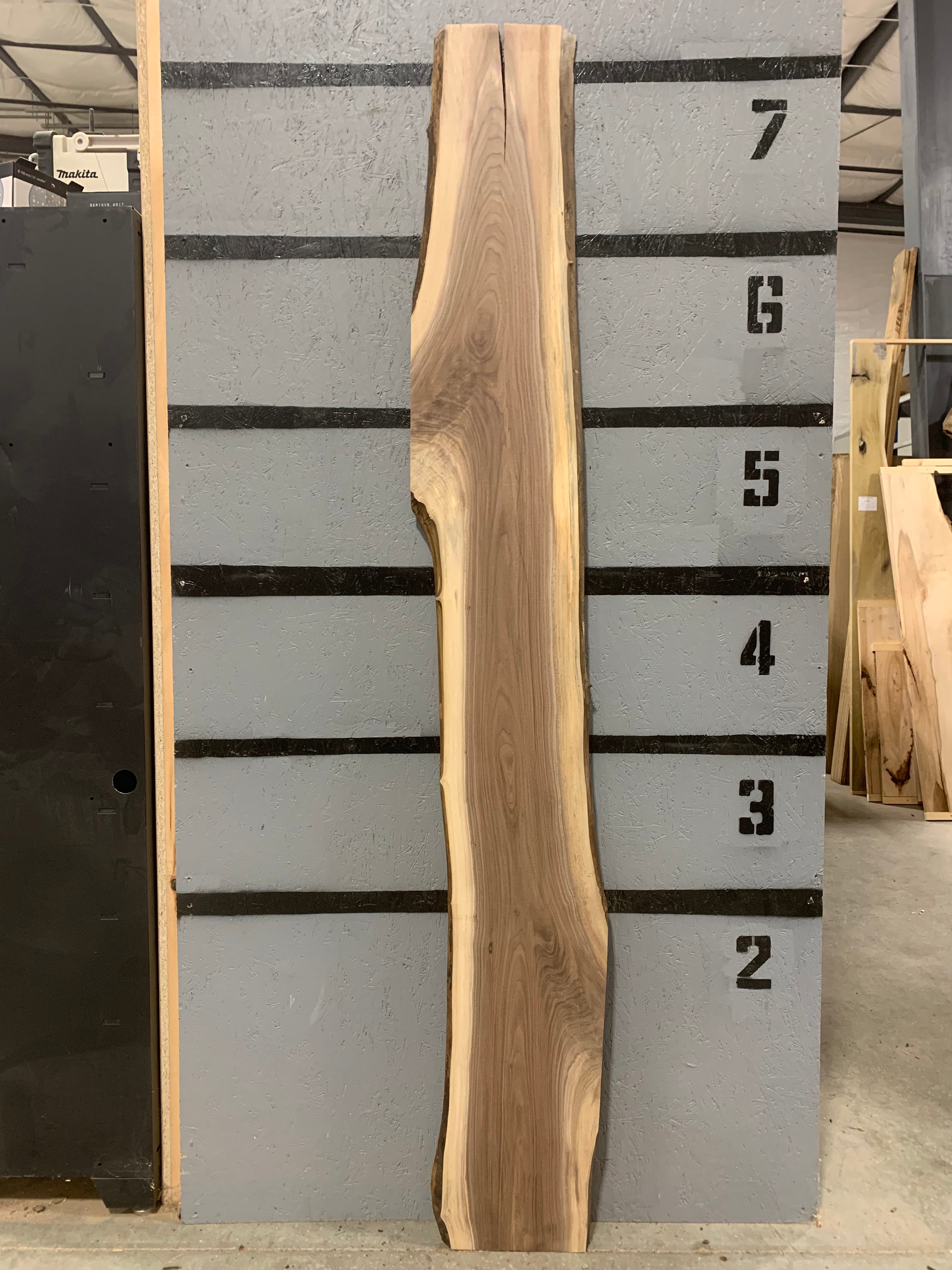 Black Walnut Slab | W551
