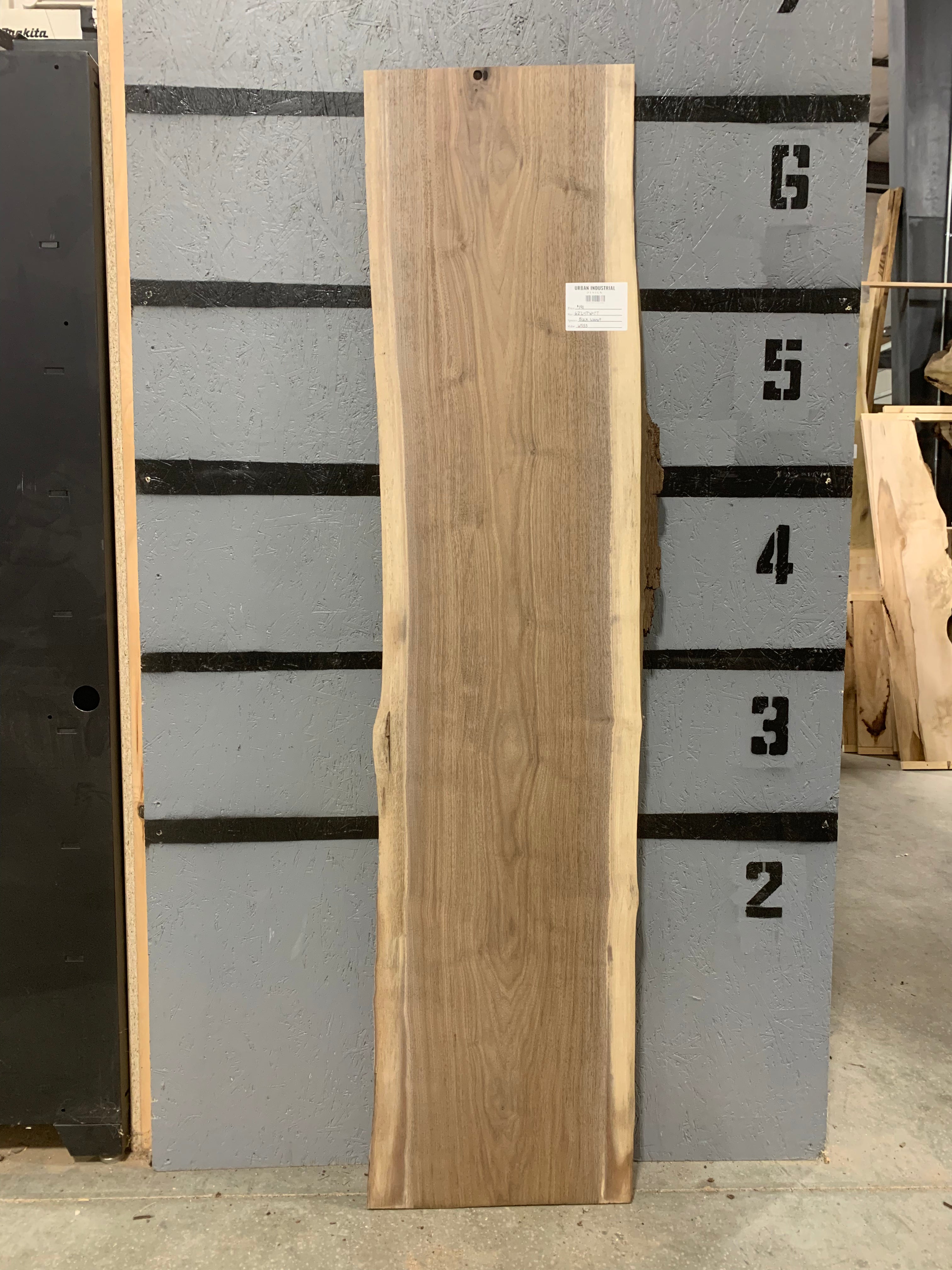 Black Walnut Slab | W553