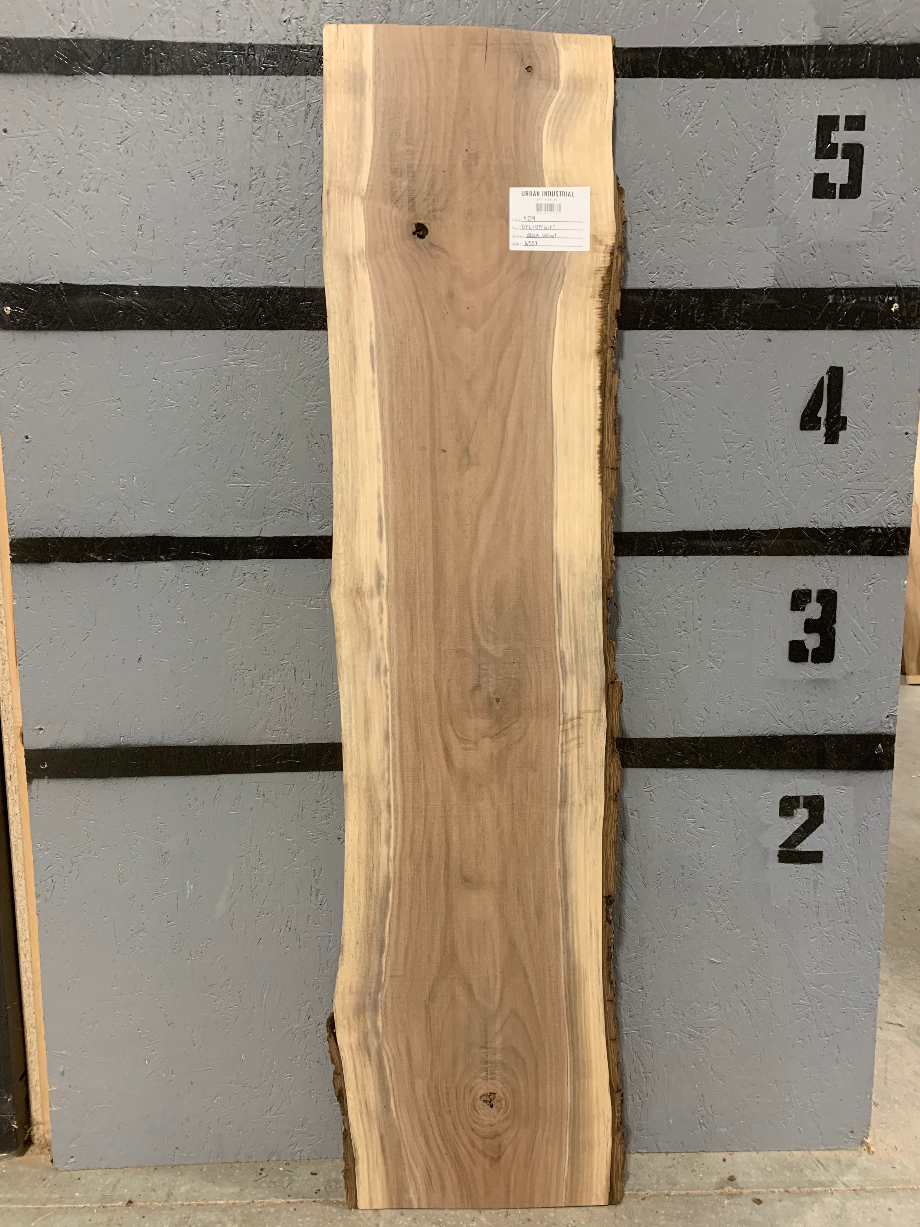 Black Walnut Slab | W557