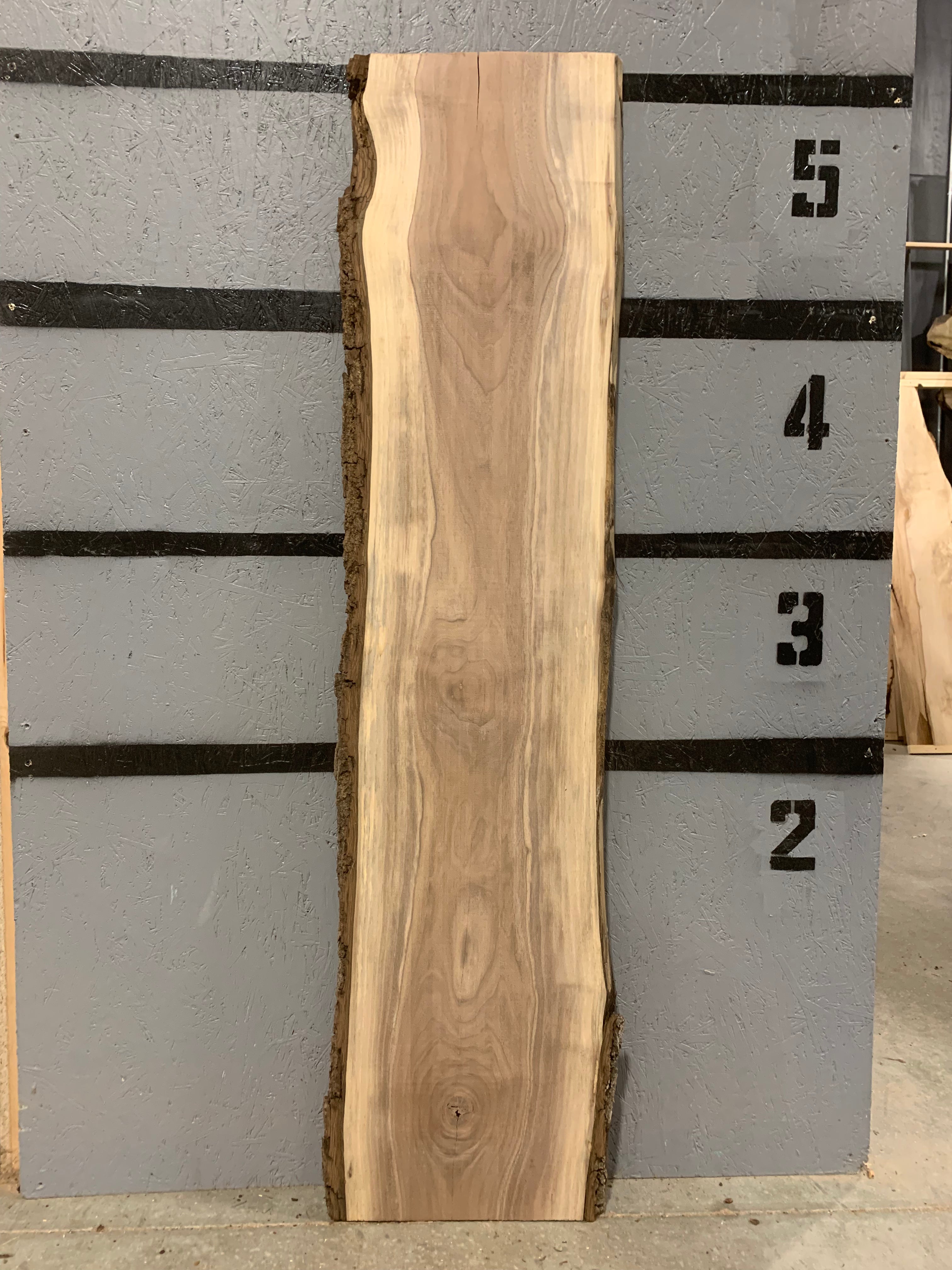 Black Walnut Slab | W557
