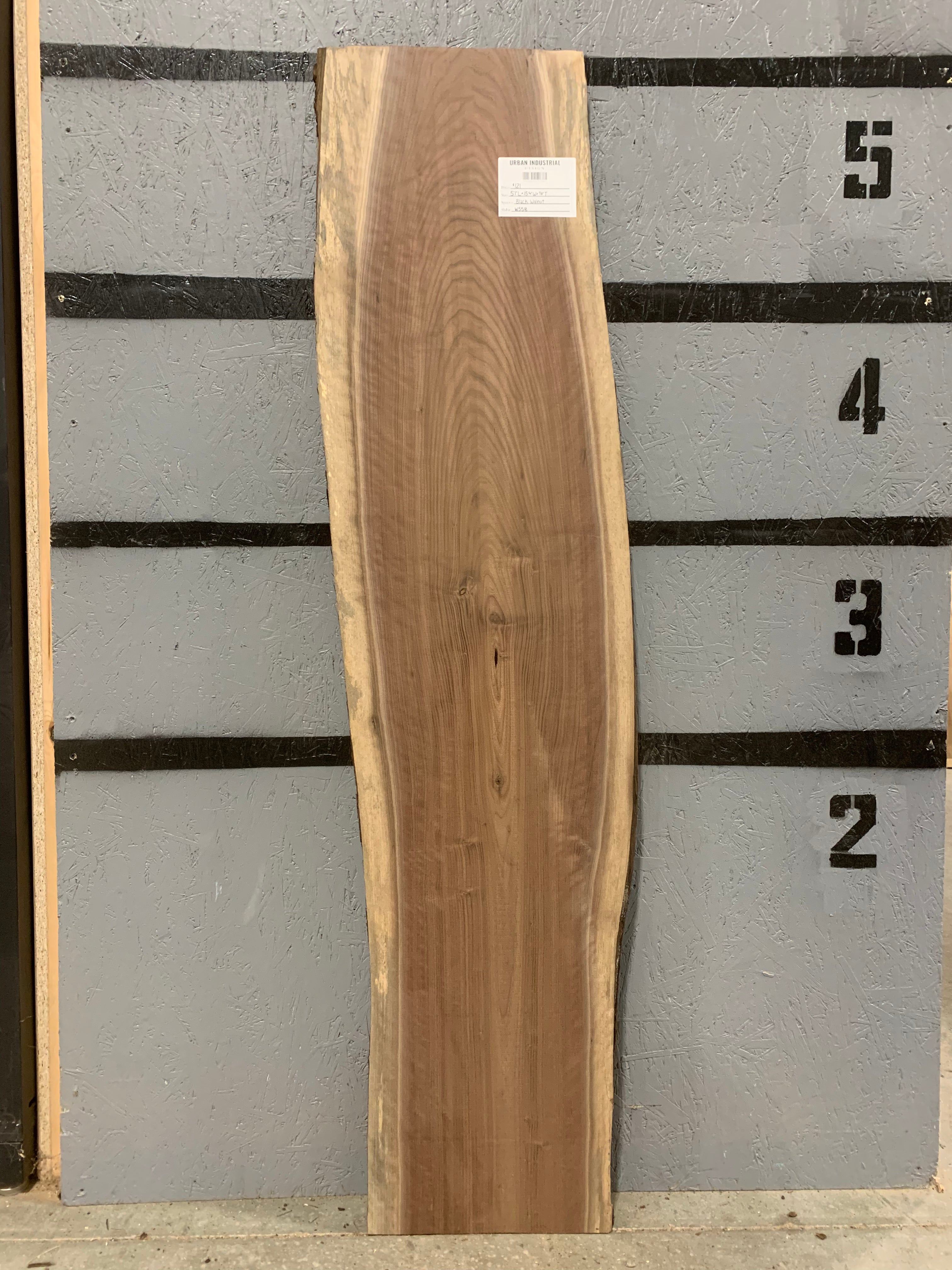 Black Walnut Slab | W558