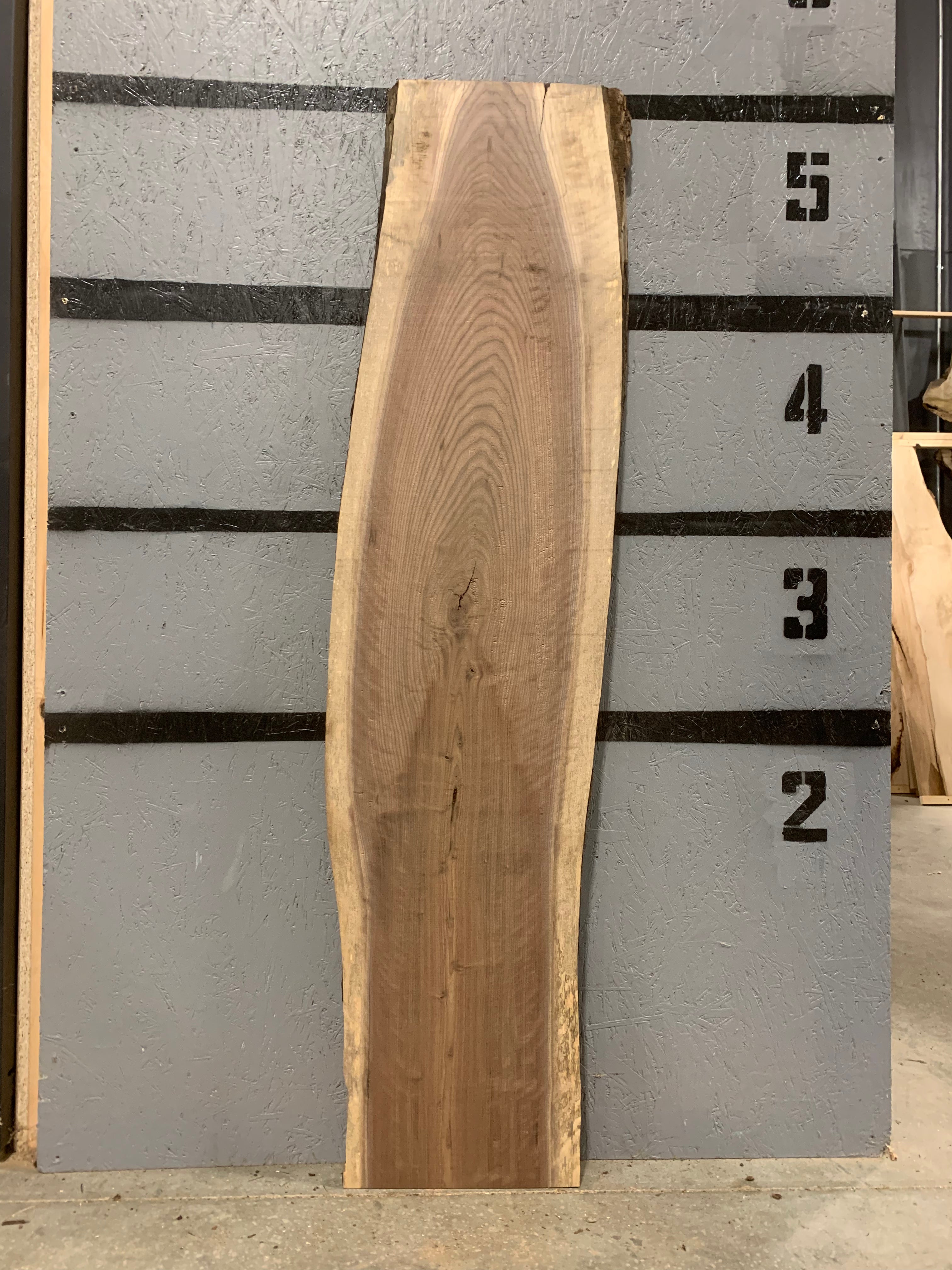 Black Walnut Slab | W558