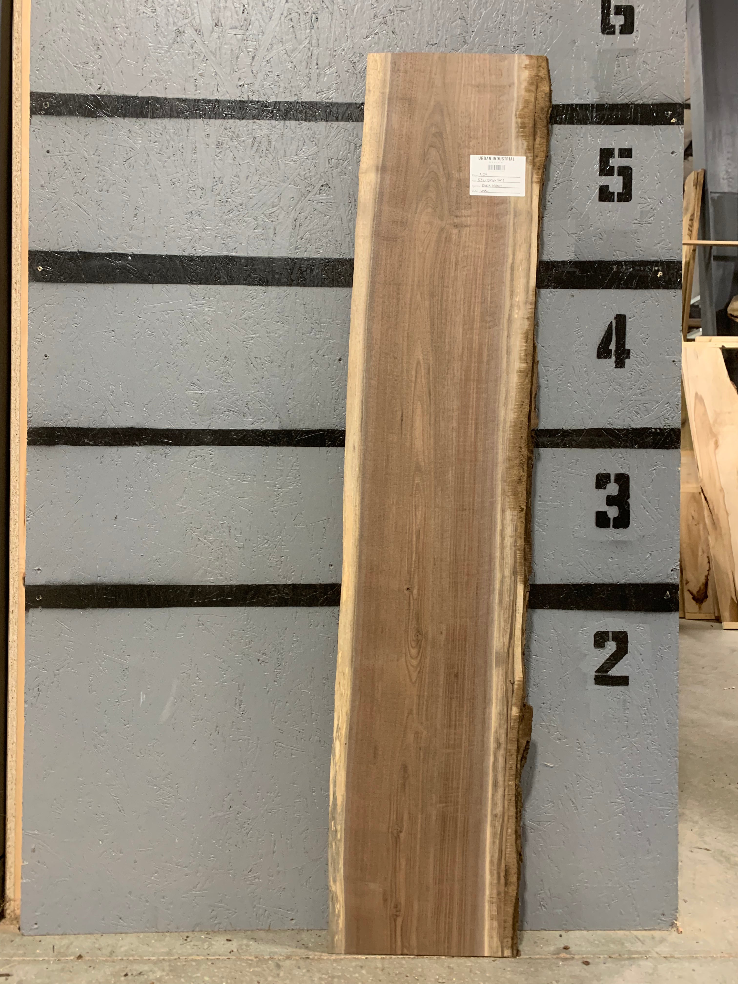 Black Walnut Slab | W559