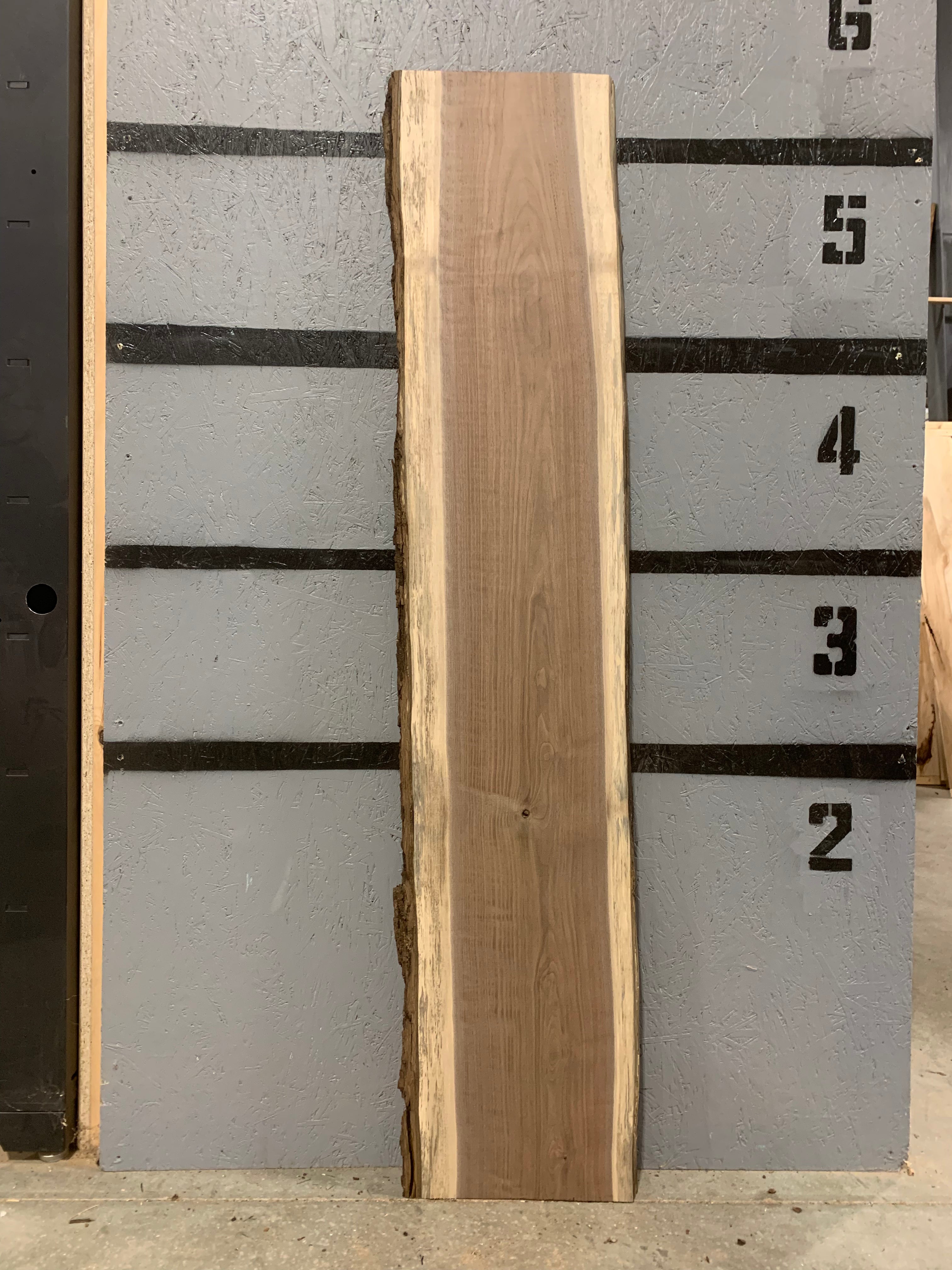 Black Walnut Slab | W559