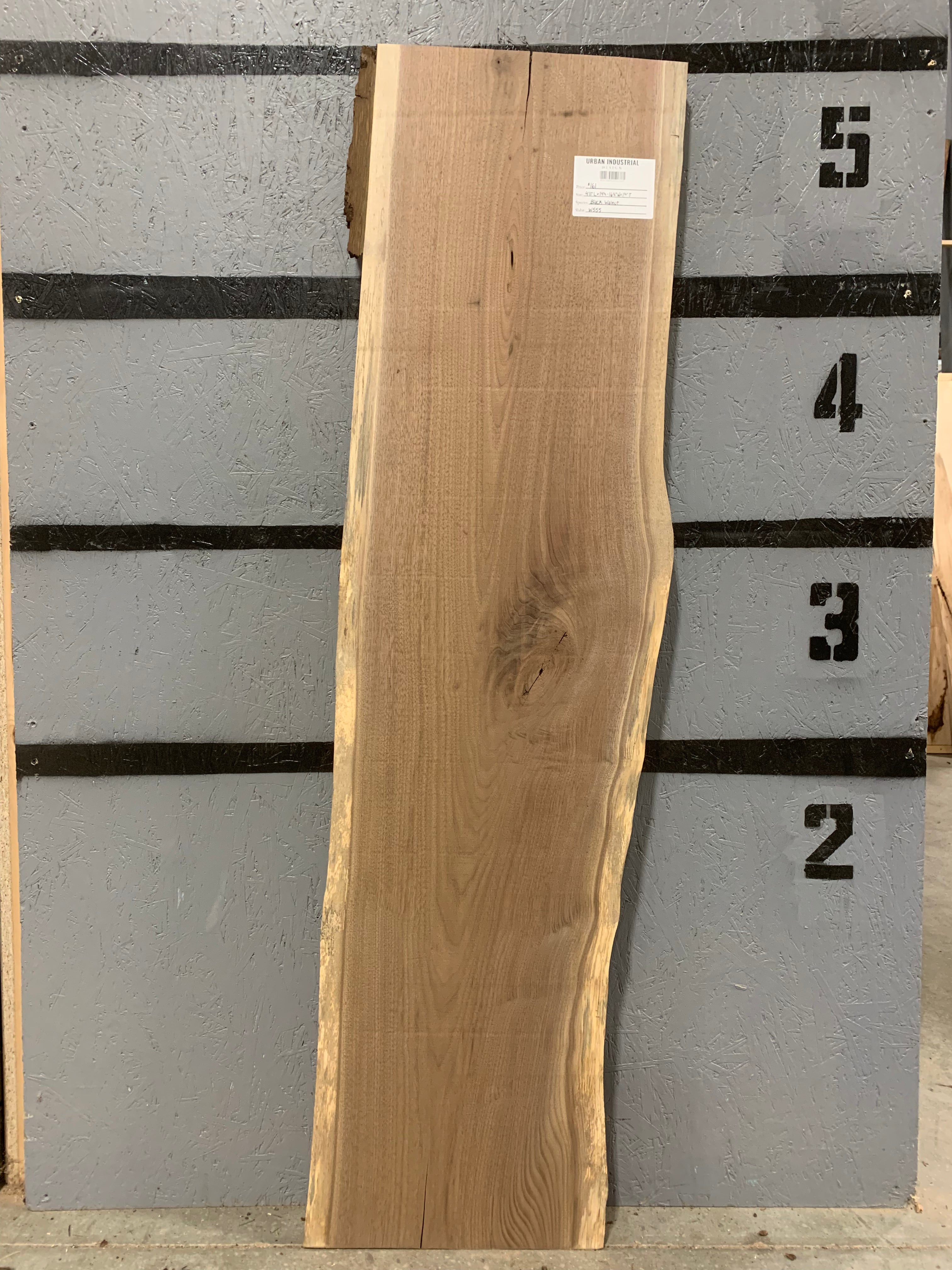 Black Walnut Slab | W555