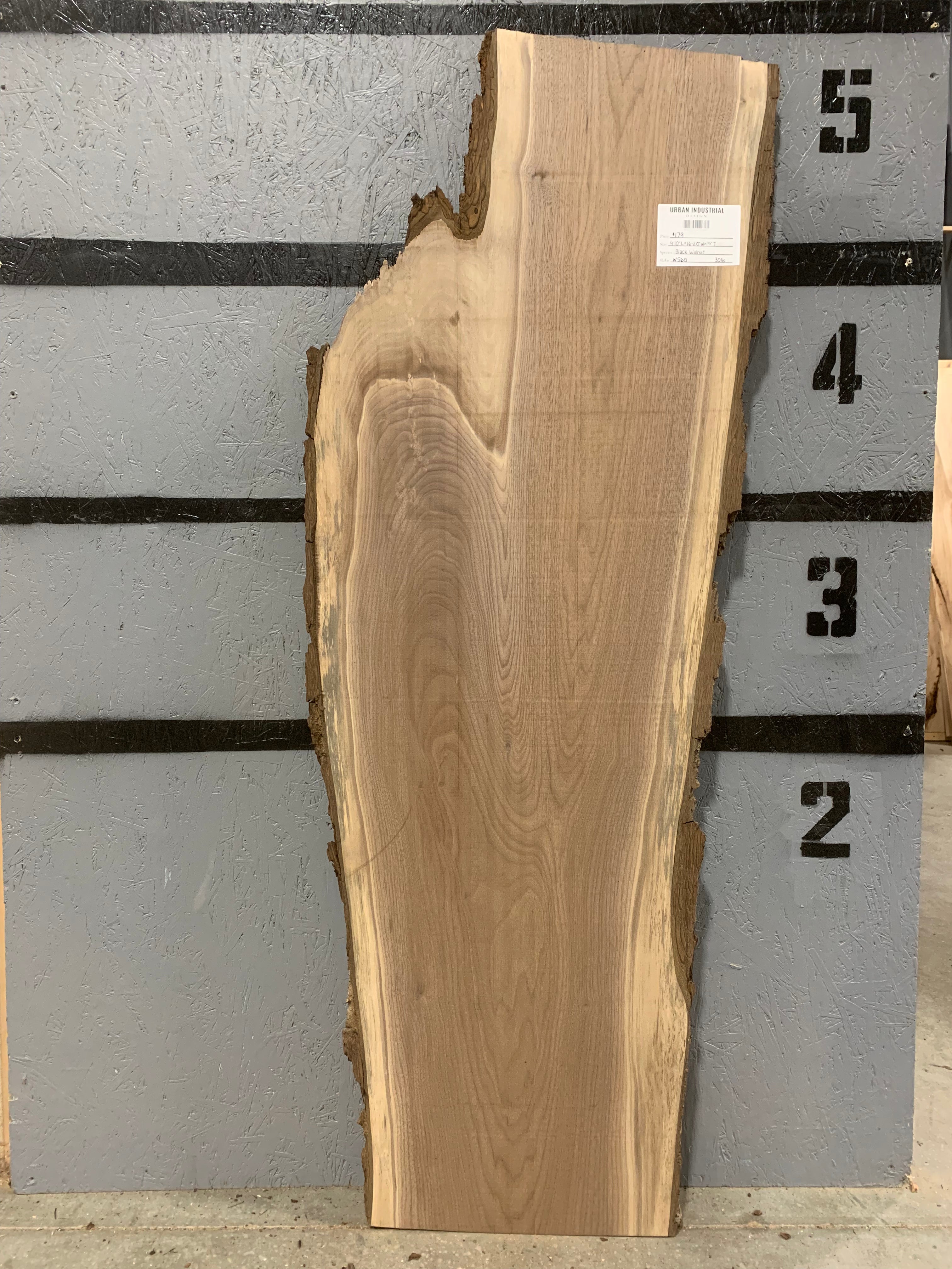 Black Walnut Slab | W560