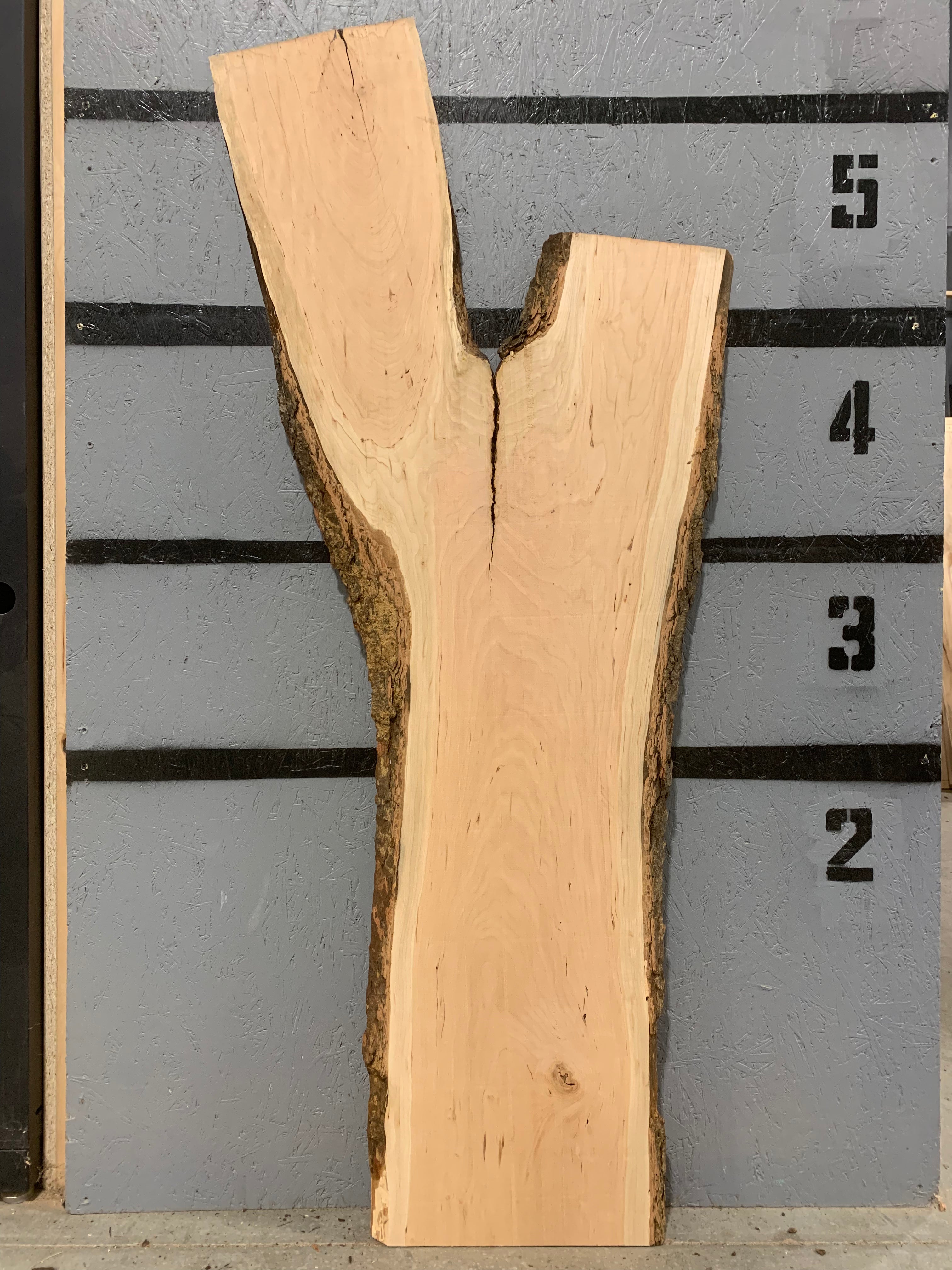 Cherry Slab | W561