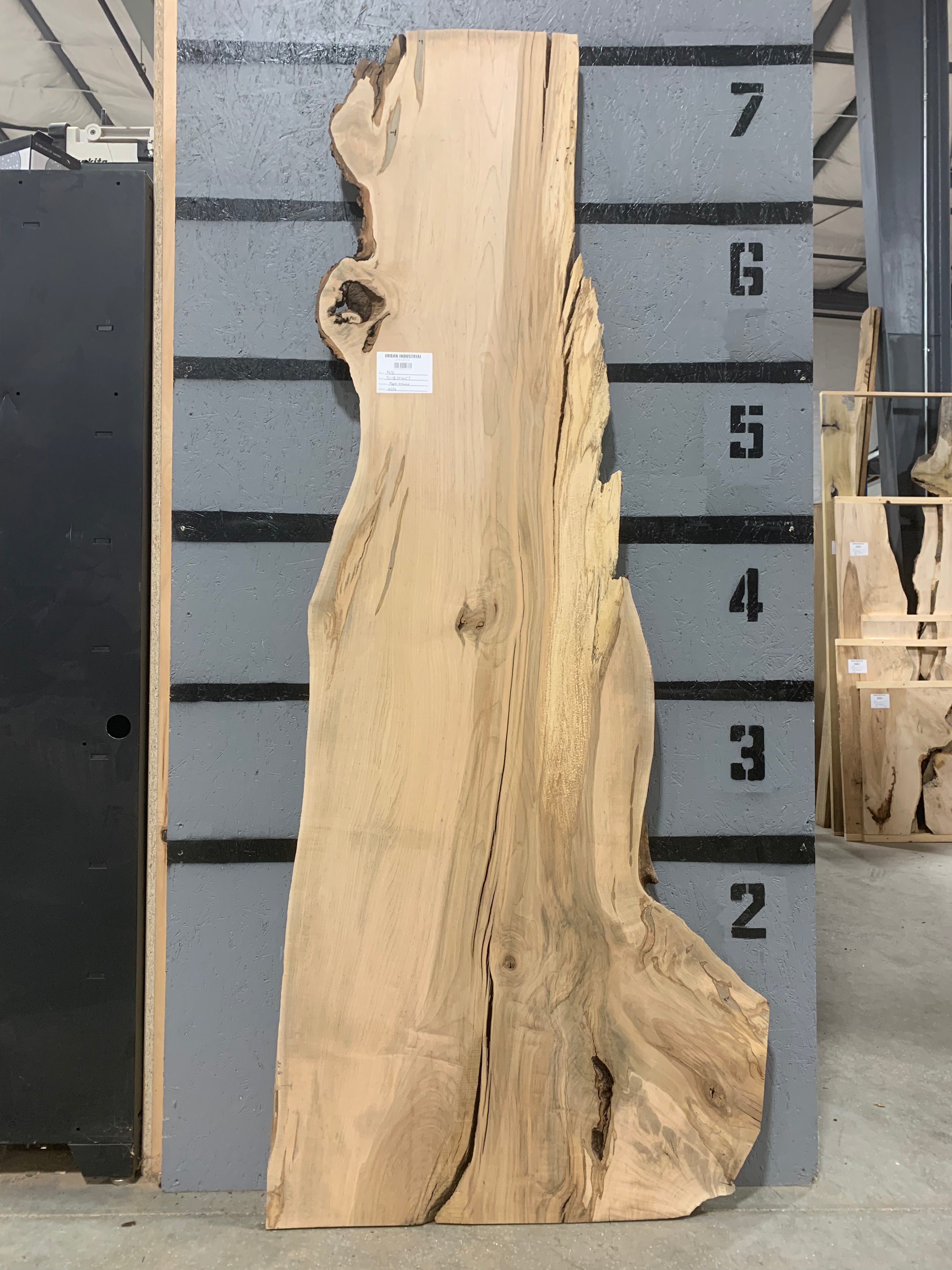 Maple Slab - Ambrosia | W256