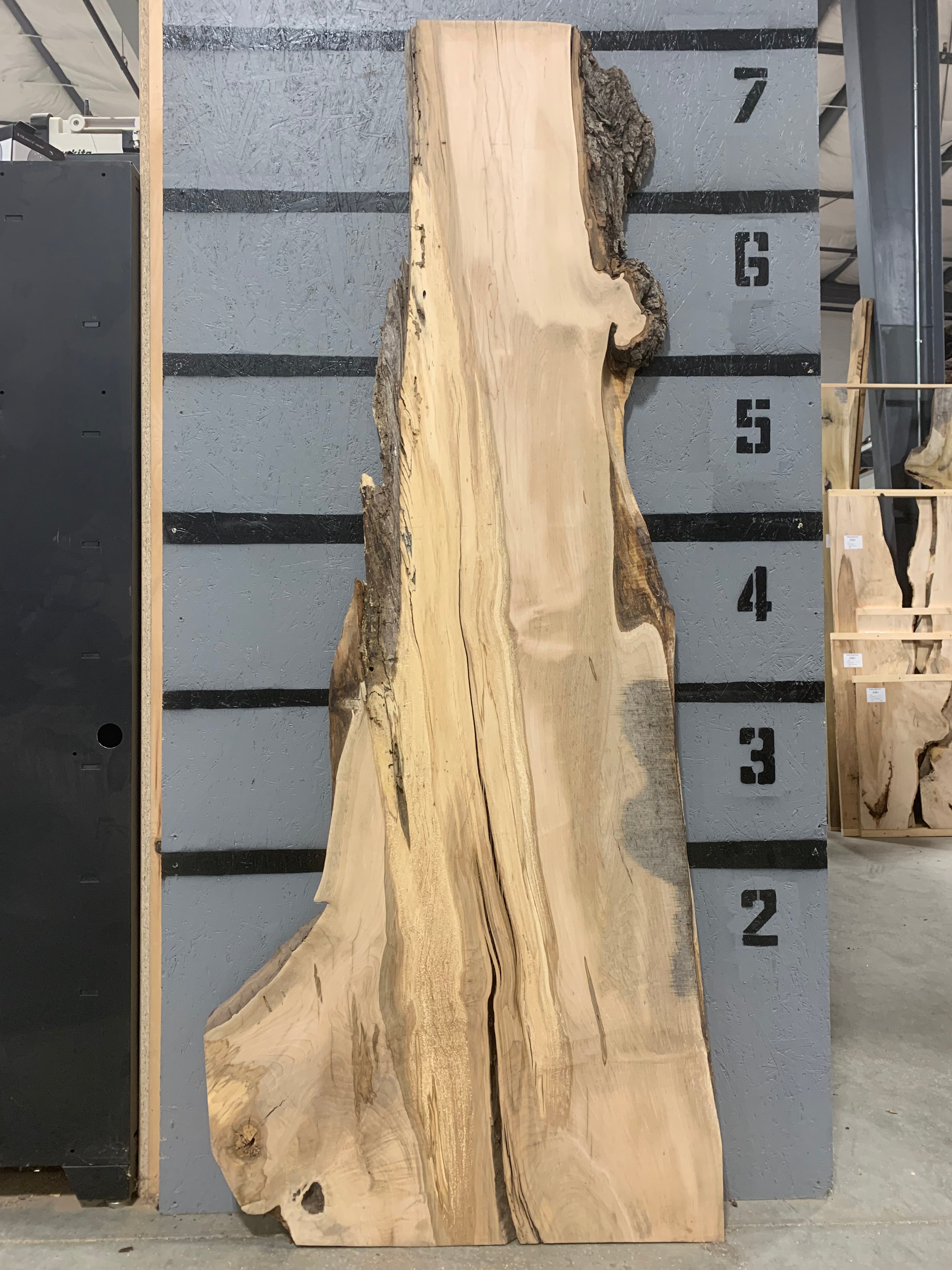 Maple Slab - Ambrosia | W256